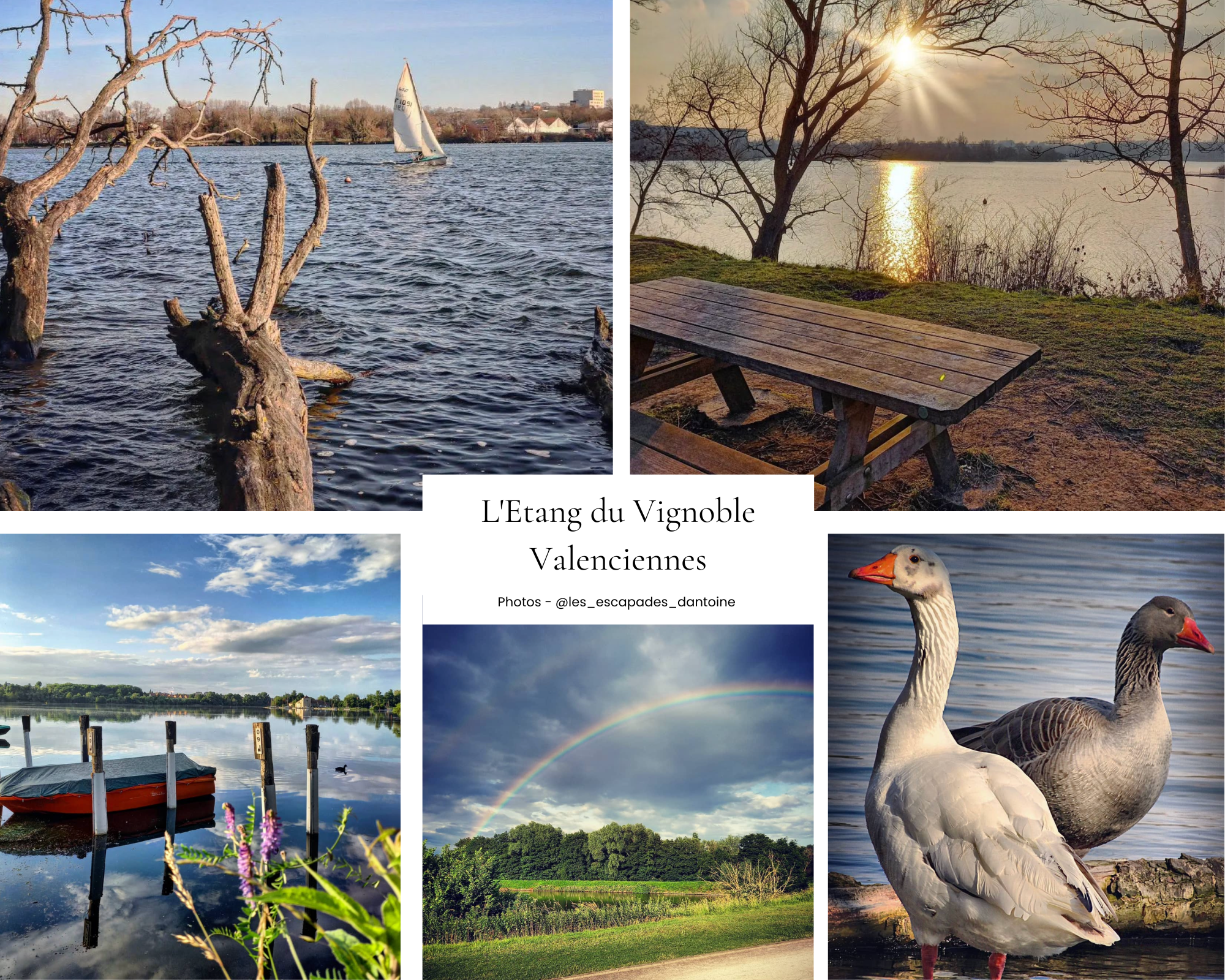 Etang du Vignoble Valenciennes