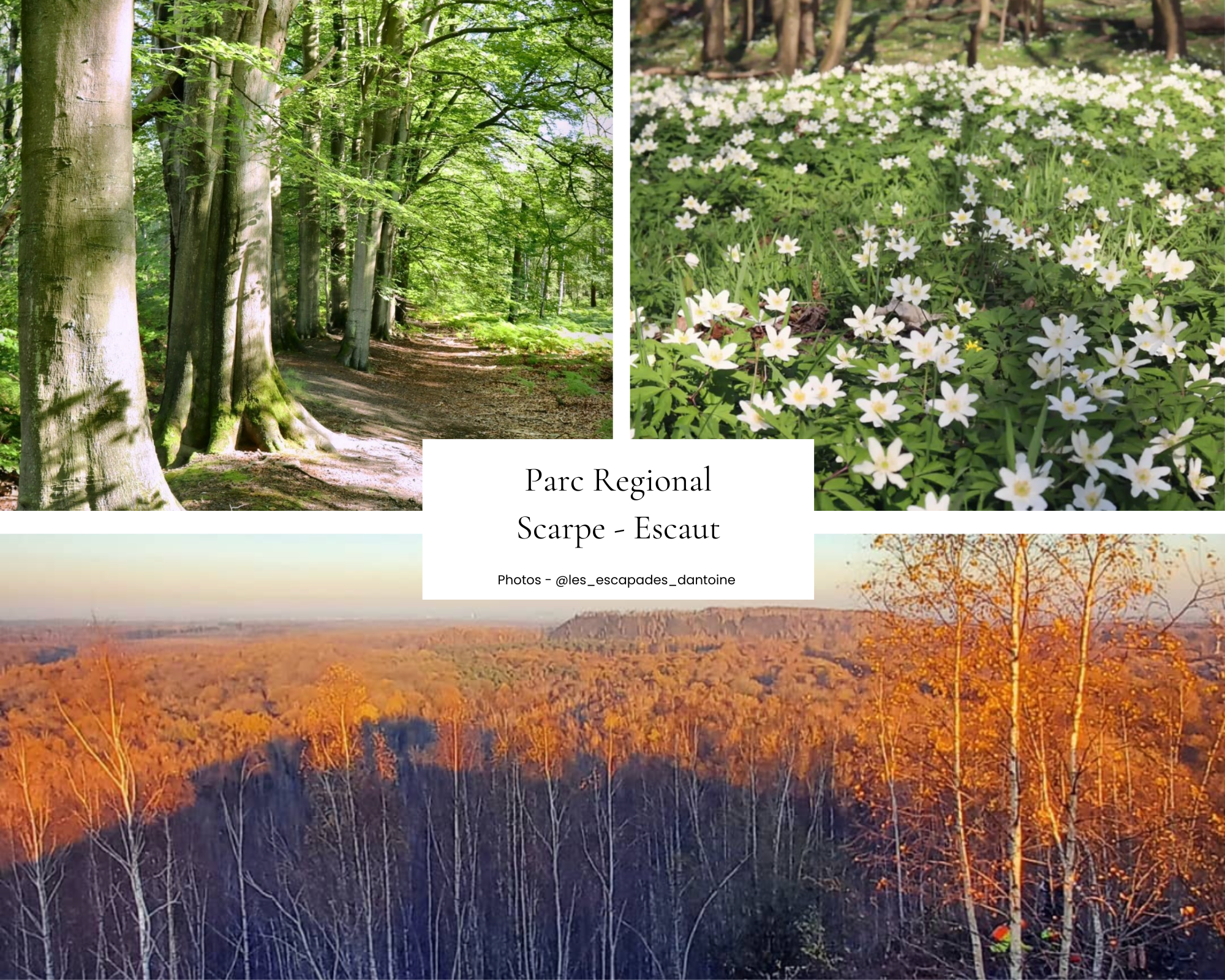 Regional Park Scarpe-Escaut