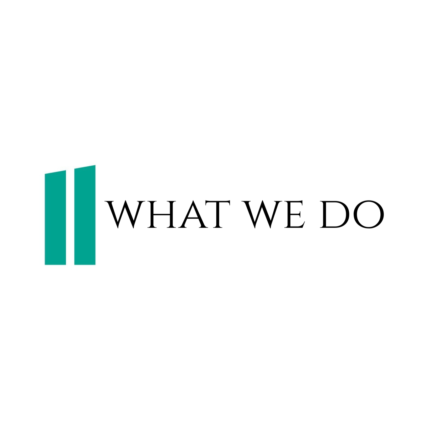 What We Do