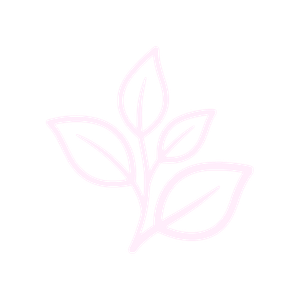 Outline drawing of a plant with five leaves on a black background