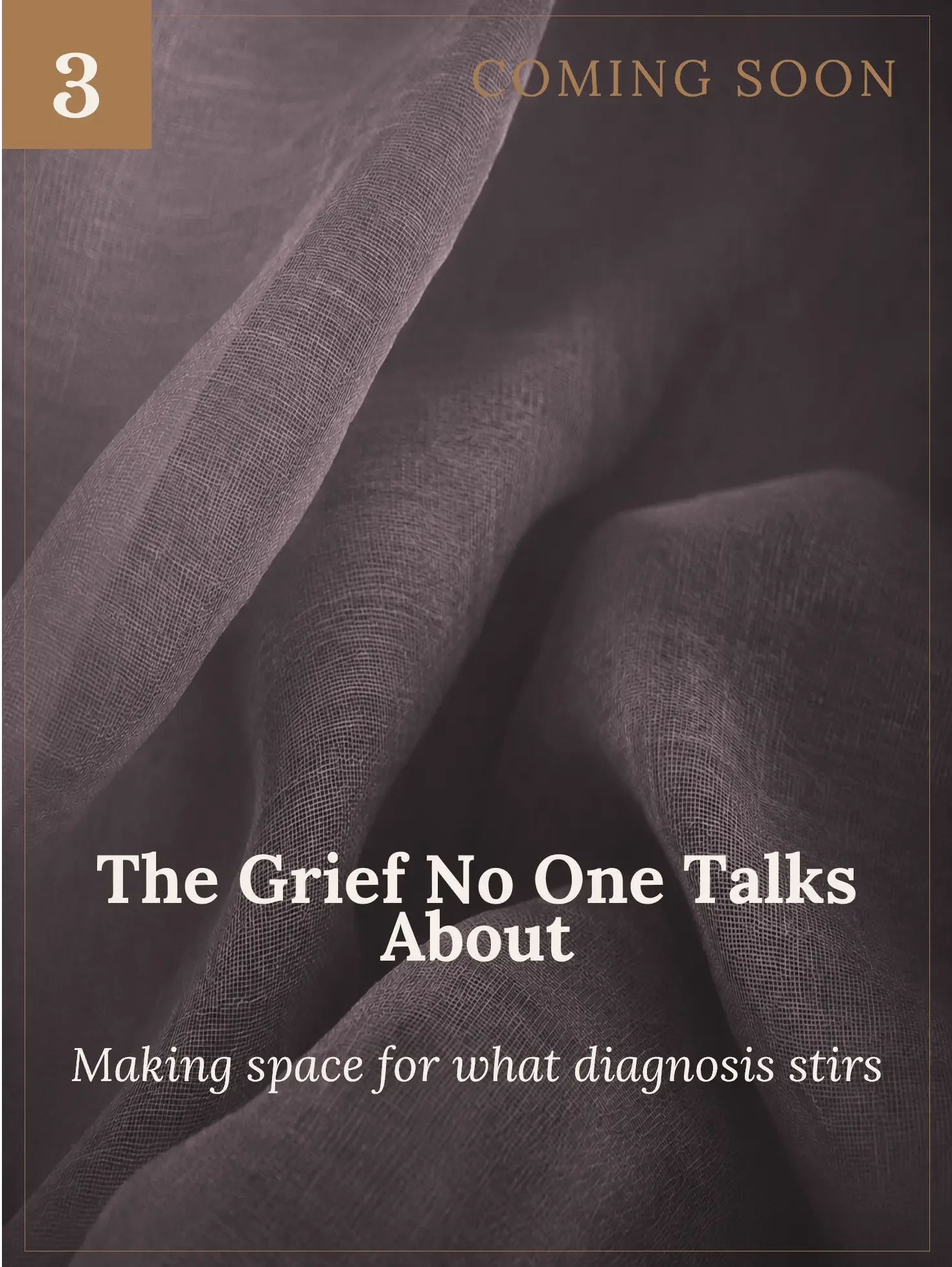 Cover page of a book titled 'The Grief No One Talks About'. The background features a close-up of textured fabric with folds. Text indicates the book is 'coming soon' and focuses on making space for diagnoses.