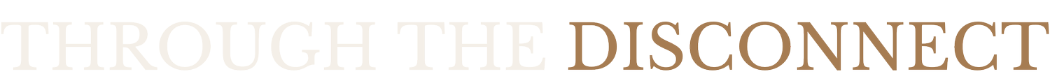 THROUGH THE DISCONNECT