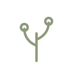 A minimalist line drawing of a plant with two circular leaves on a single stem.