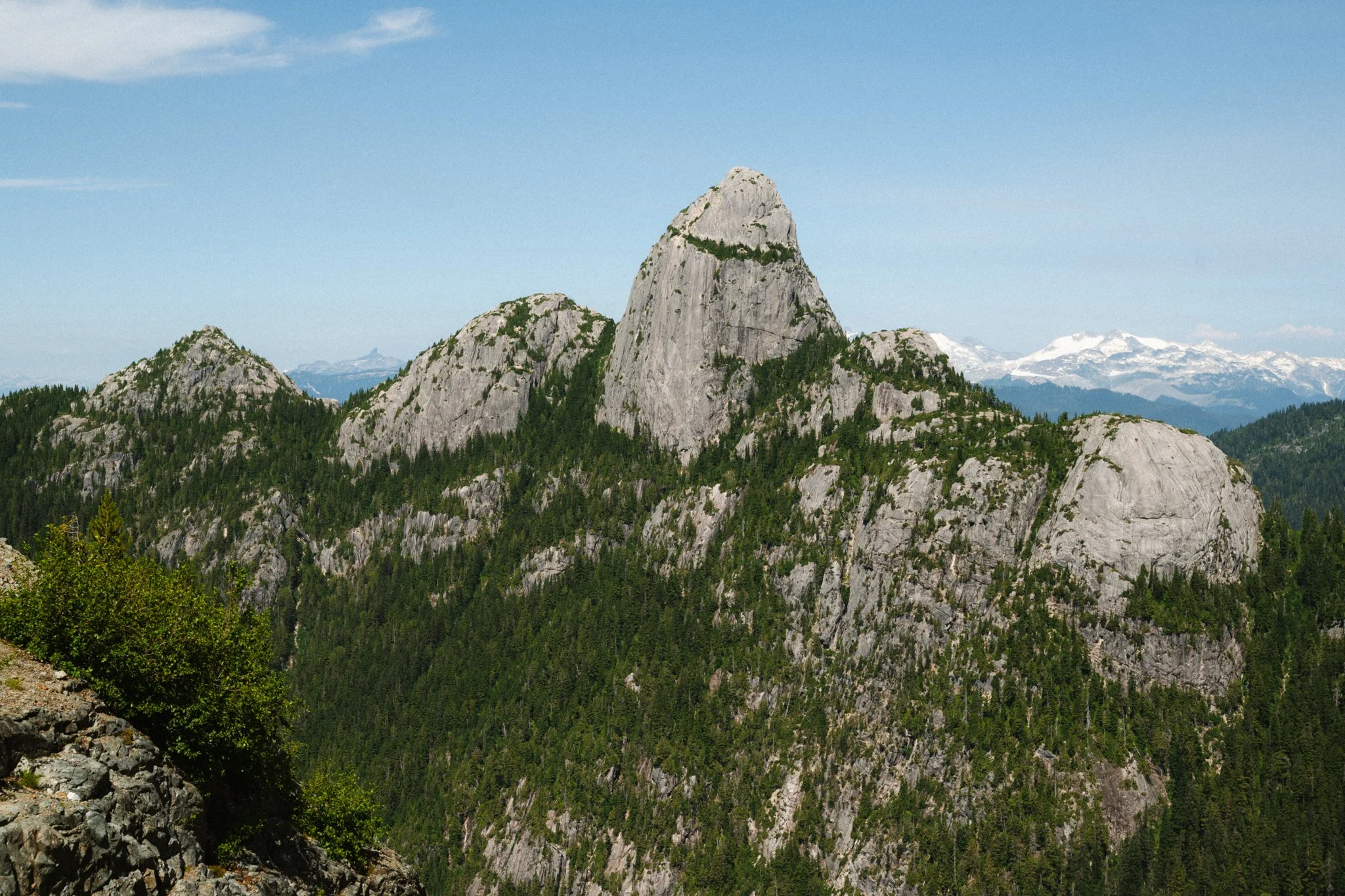 Web-Gallery-BC-06.jpg