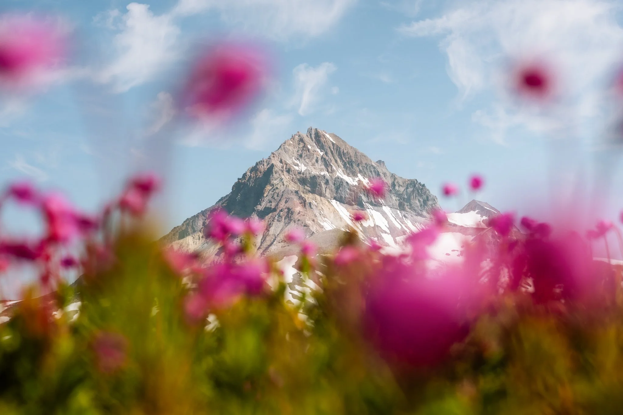 Web-Gallery-BC-02.jpg