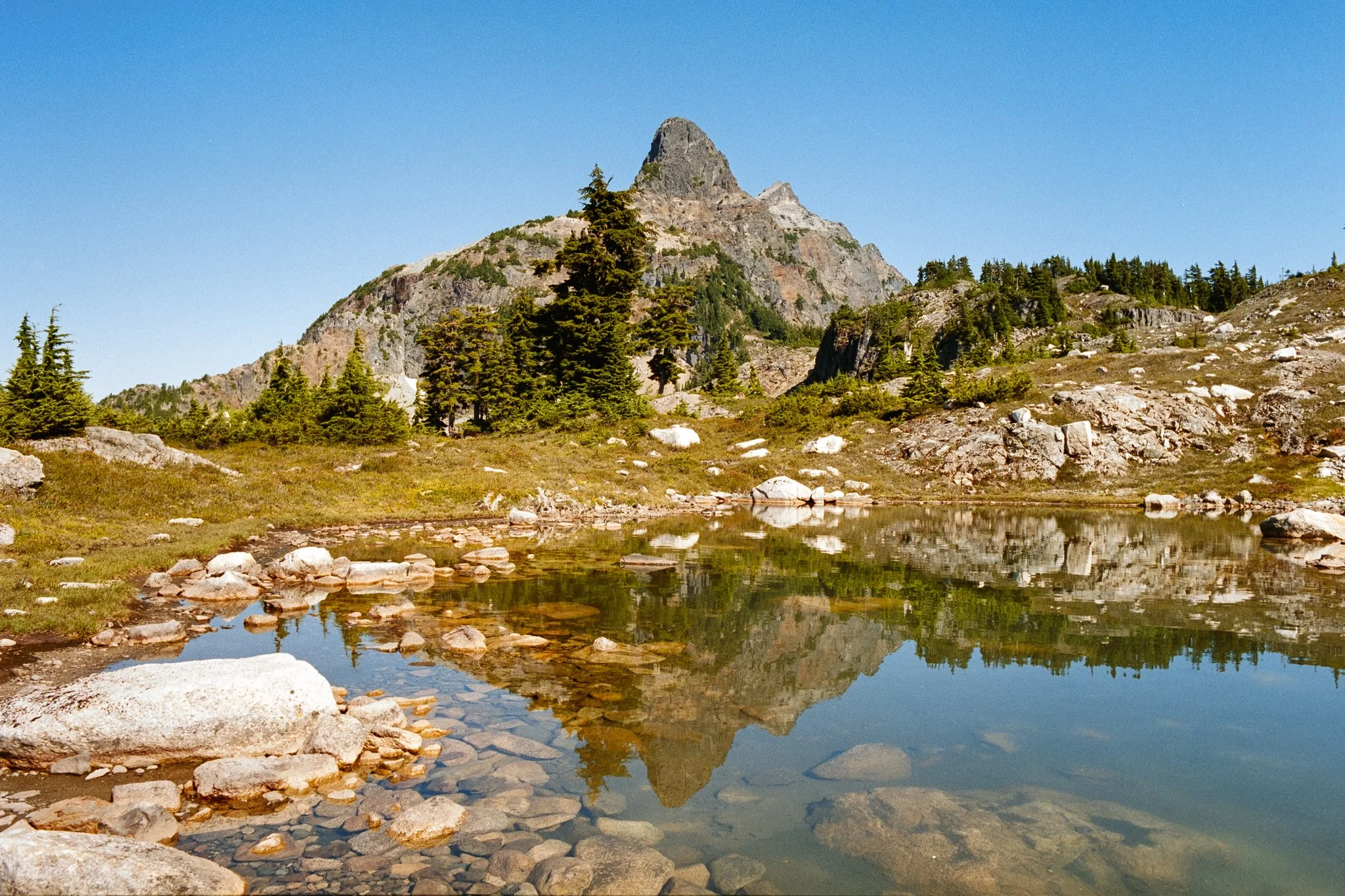 Web-Gallery-BC-14.jpg