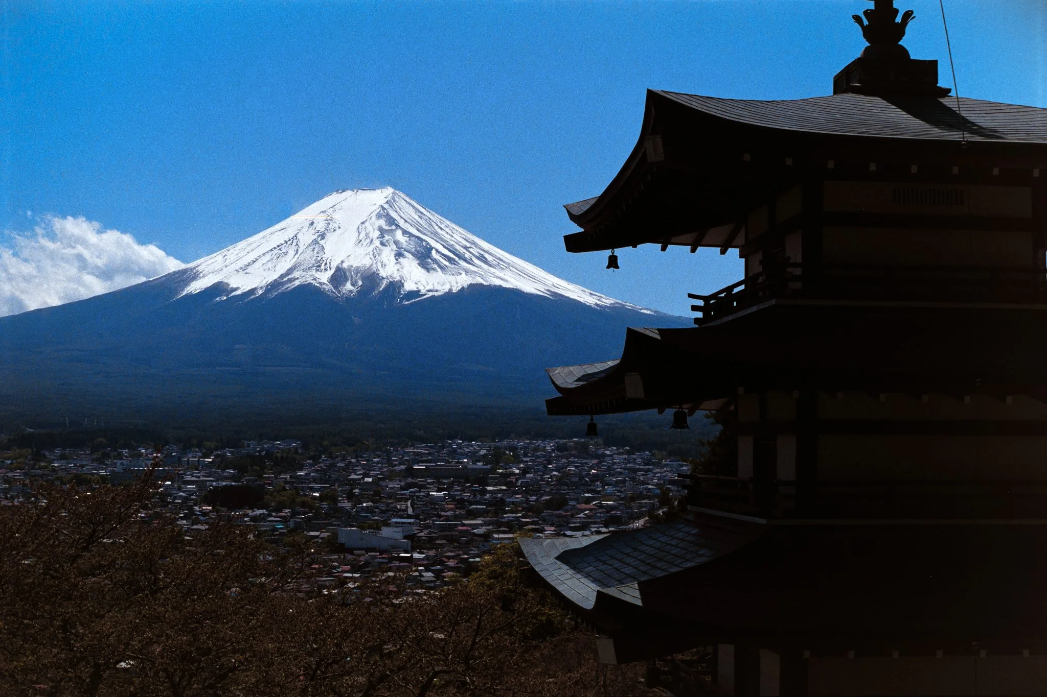 Web-Gallery-JP-30.jpg
