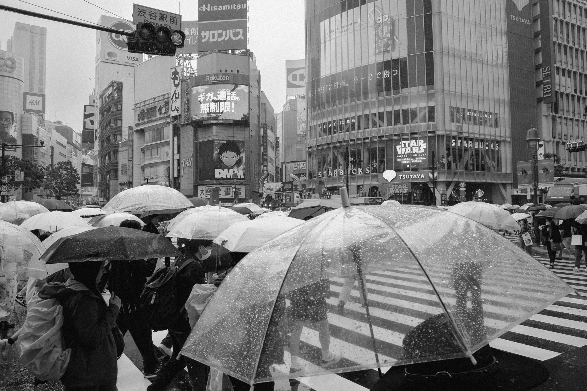 Web-Gallery-JP-21.jpg