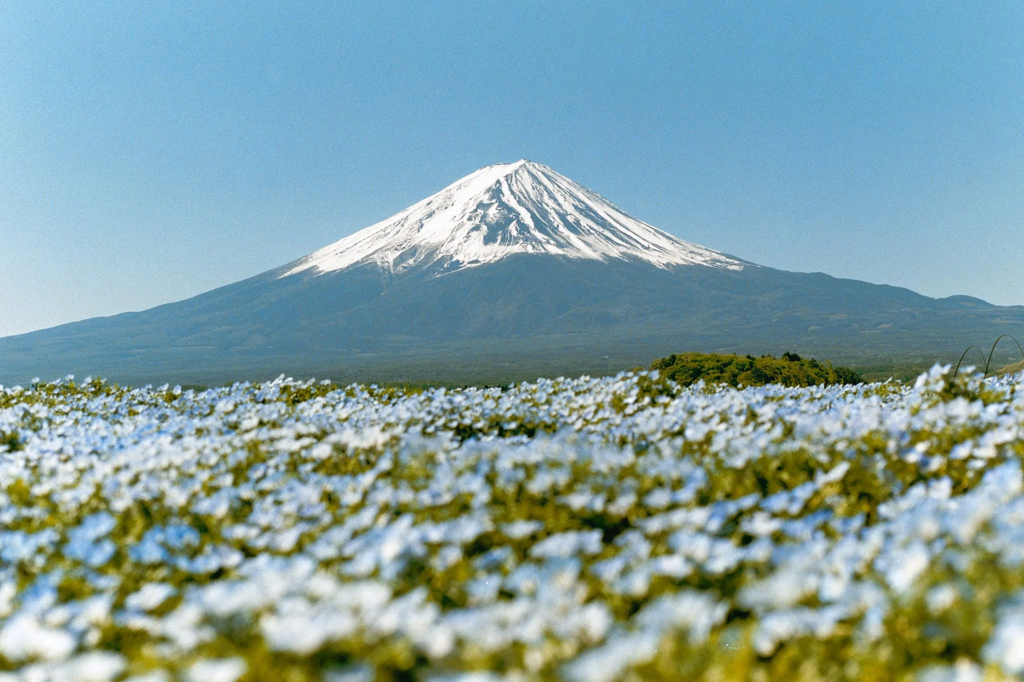 Web-Gallery-JP-37.jpg