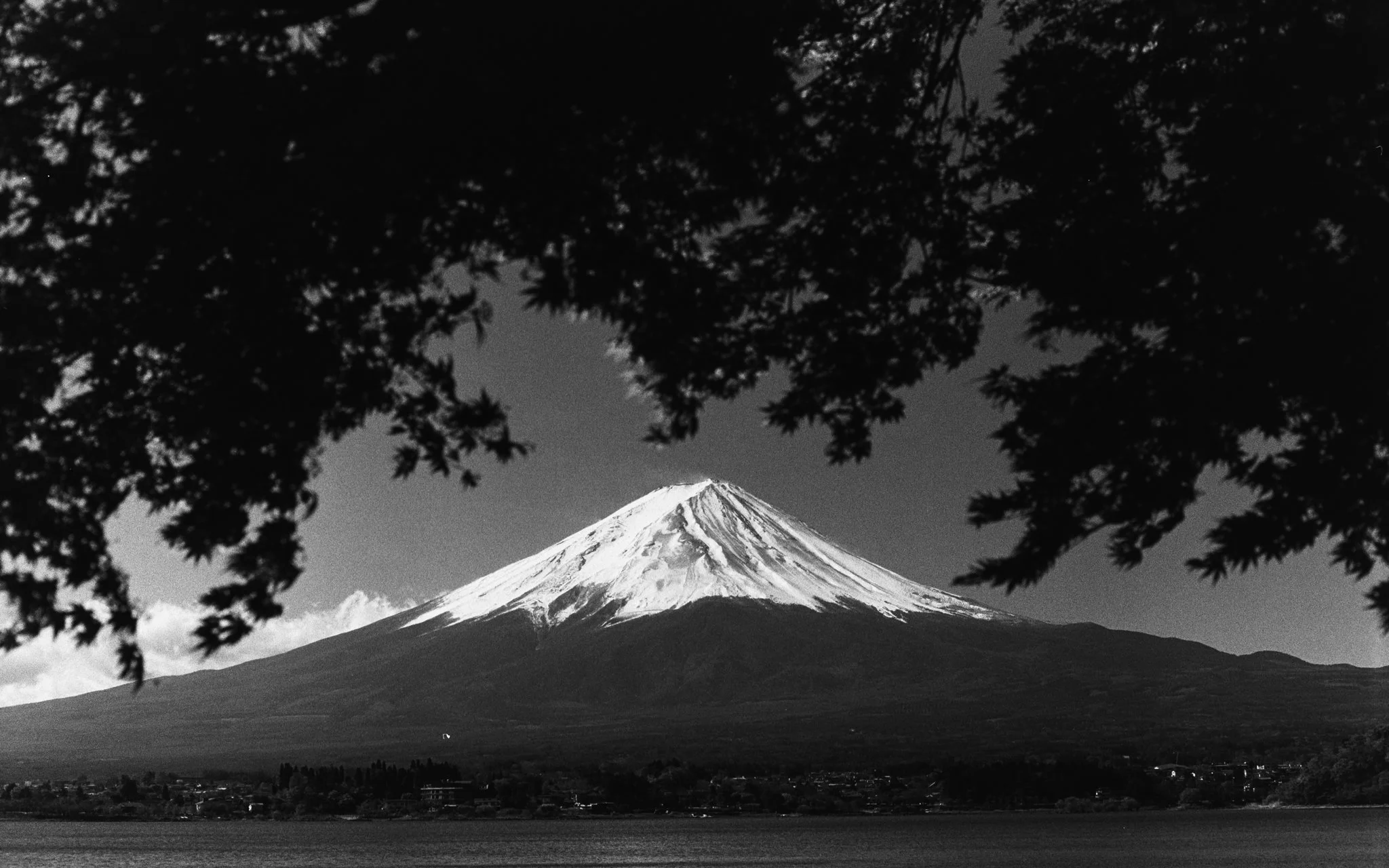 Web-Gallery-JP-28.jpg