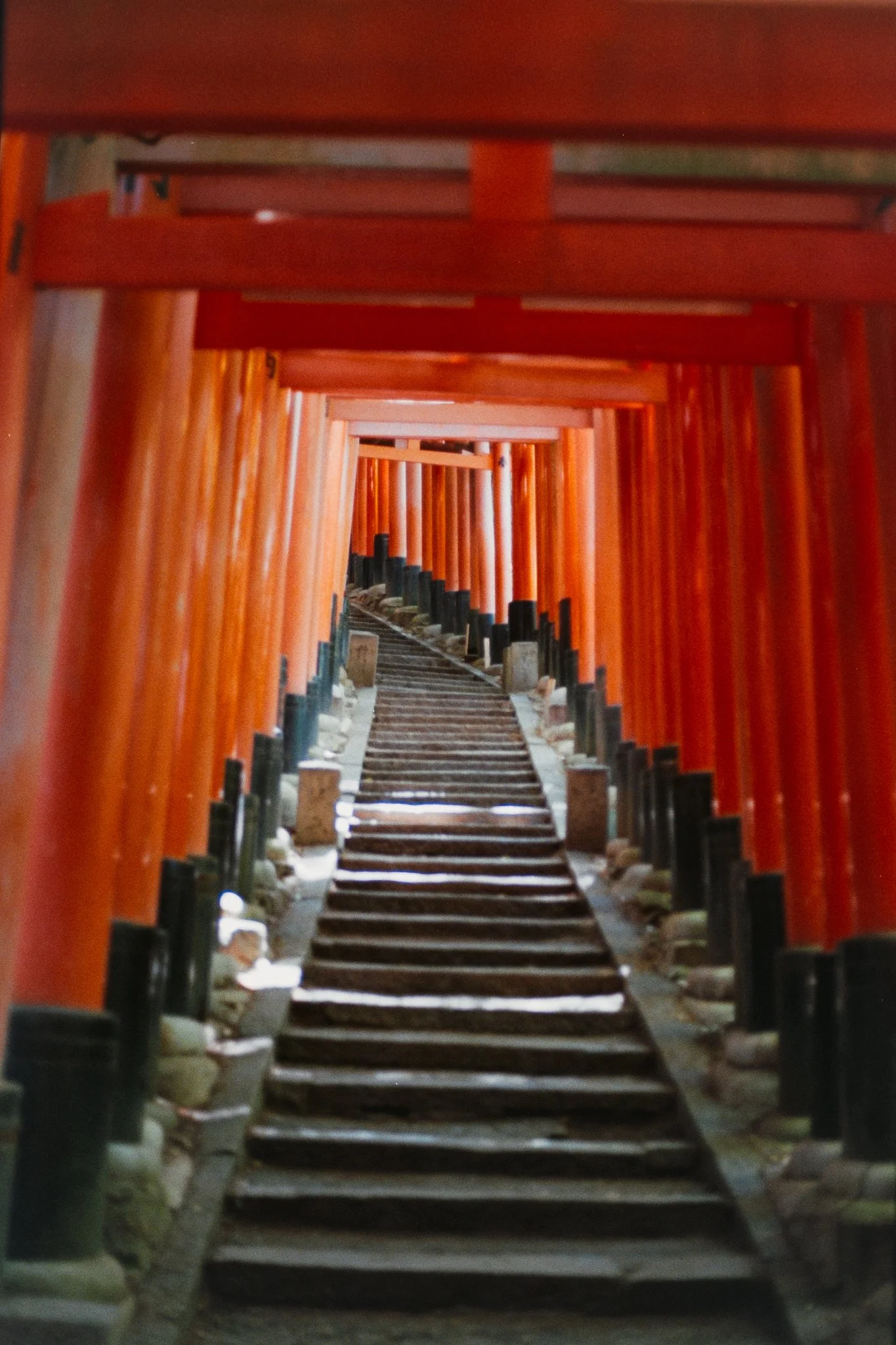 Web-Gallery-JP-39.jpg