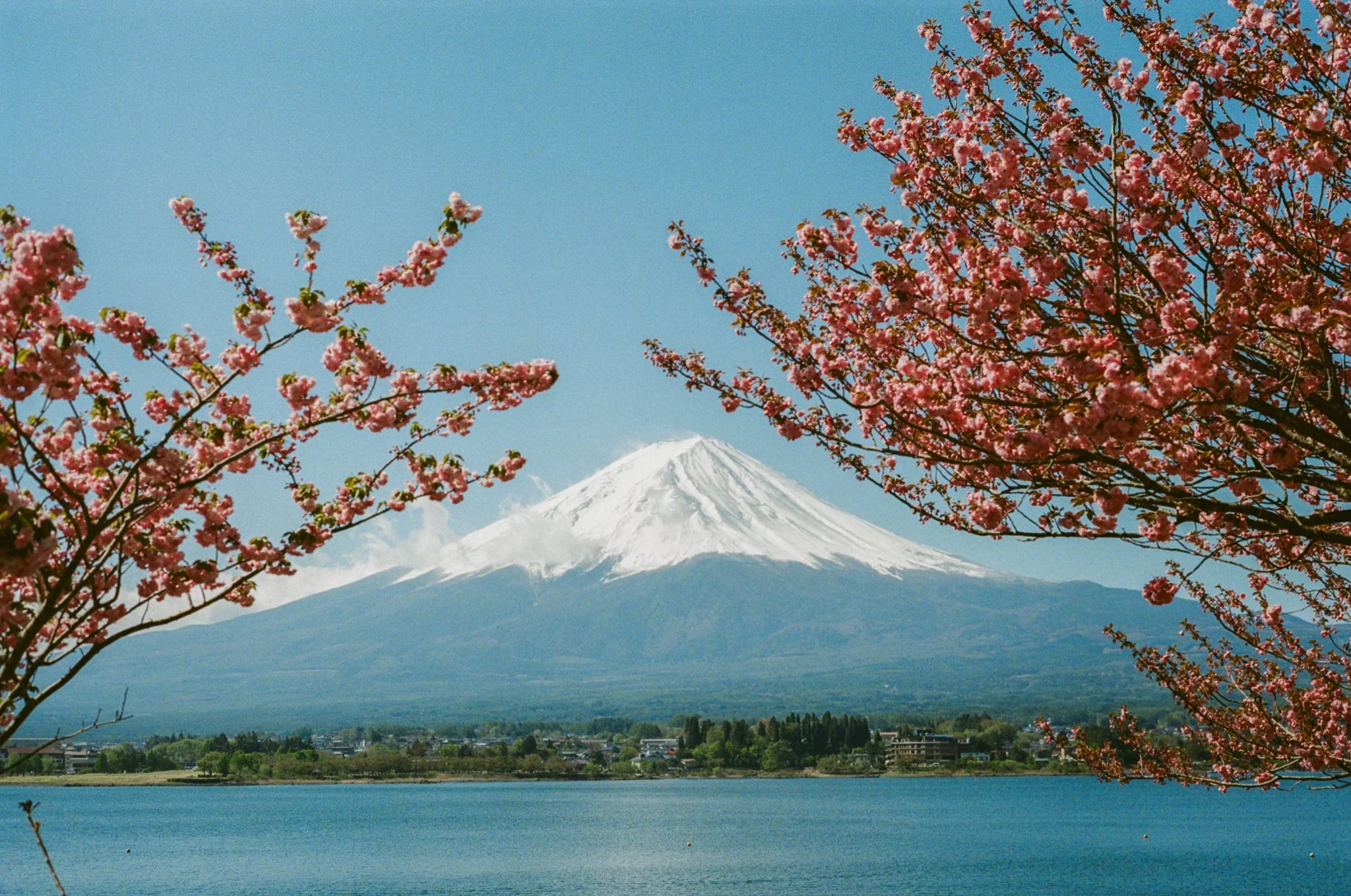 Web-Gallery-JP-24.jpg