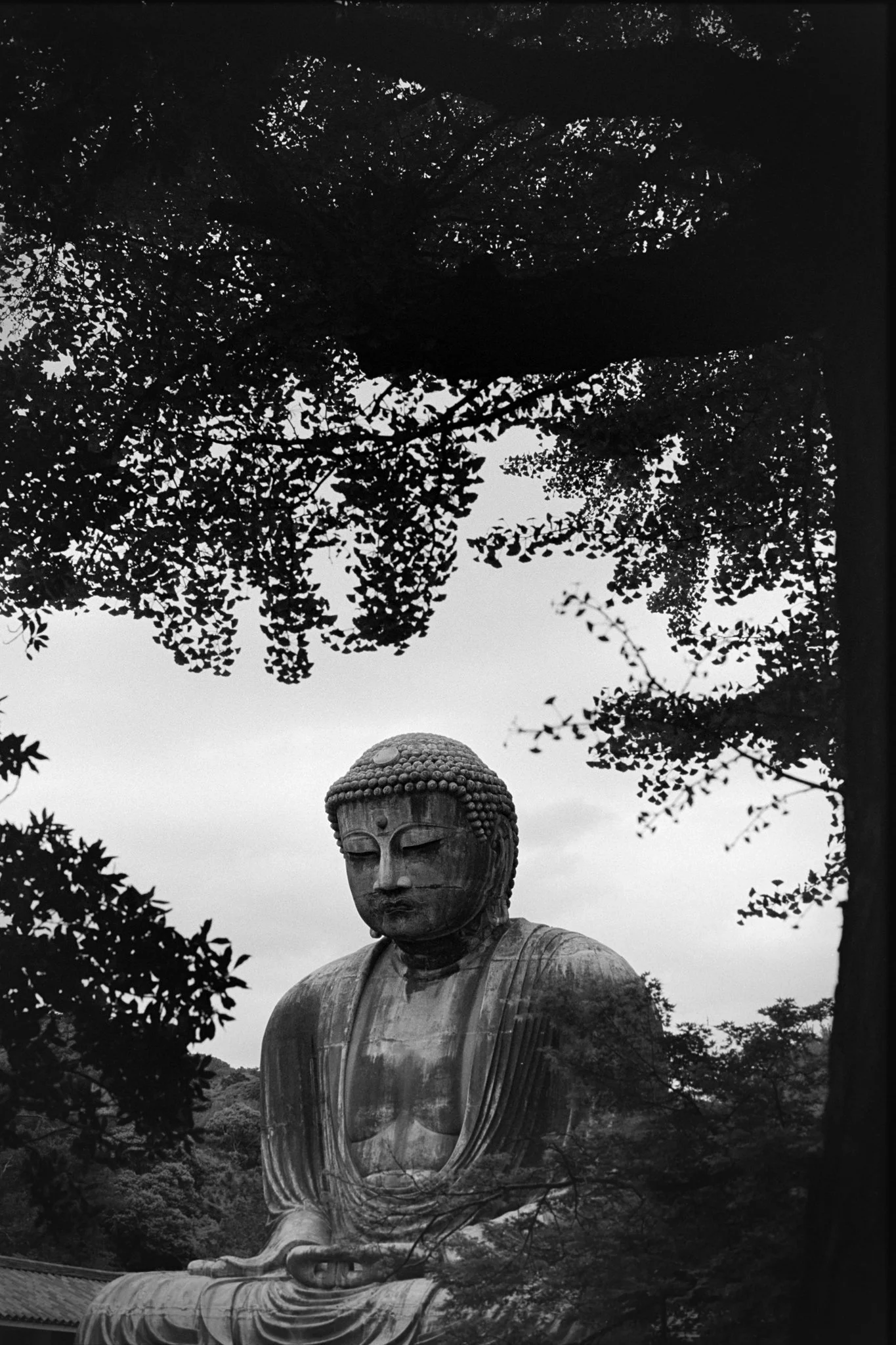 Web-Gallery-JP-26.jpg