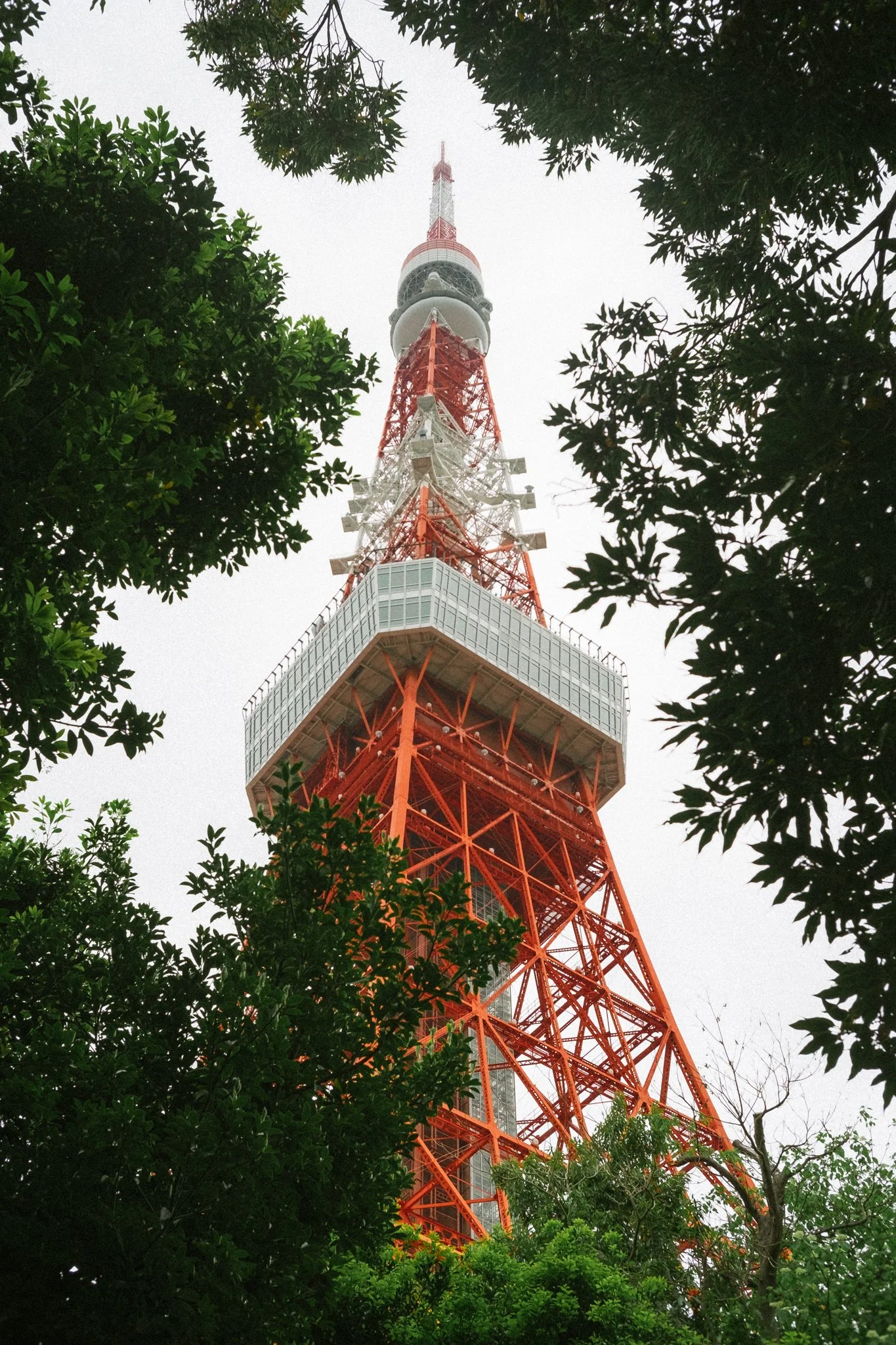 Web-Gallery-JP-06.jpg