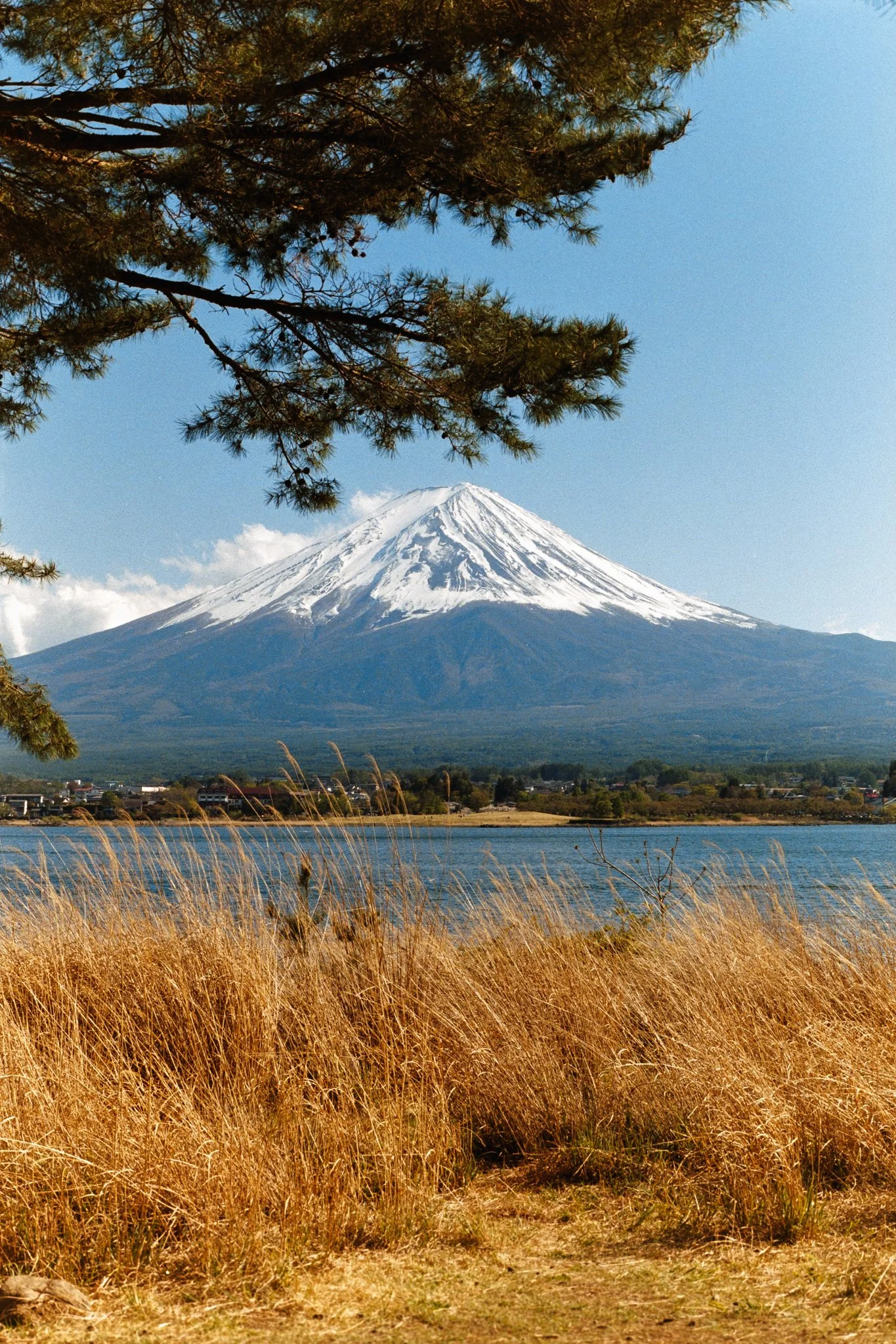 Web-Gallery-JP-31.jpg