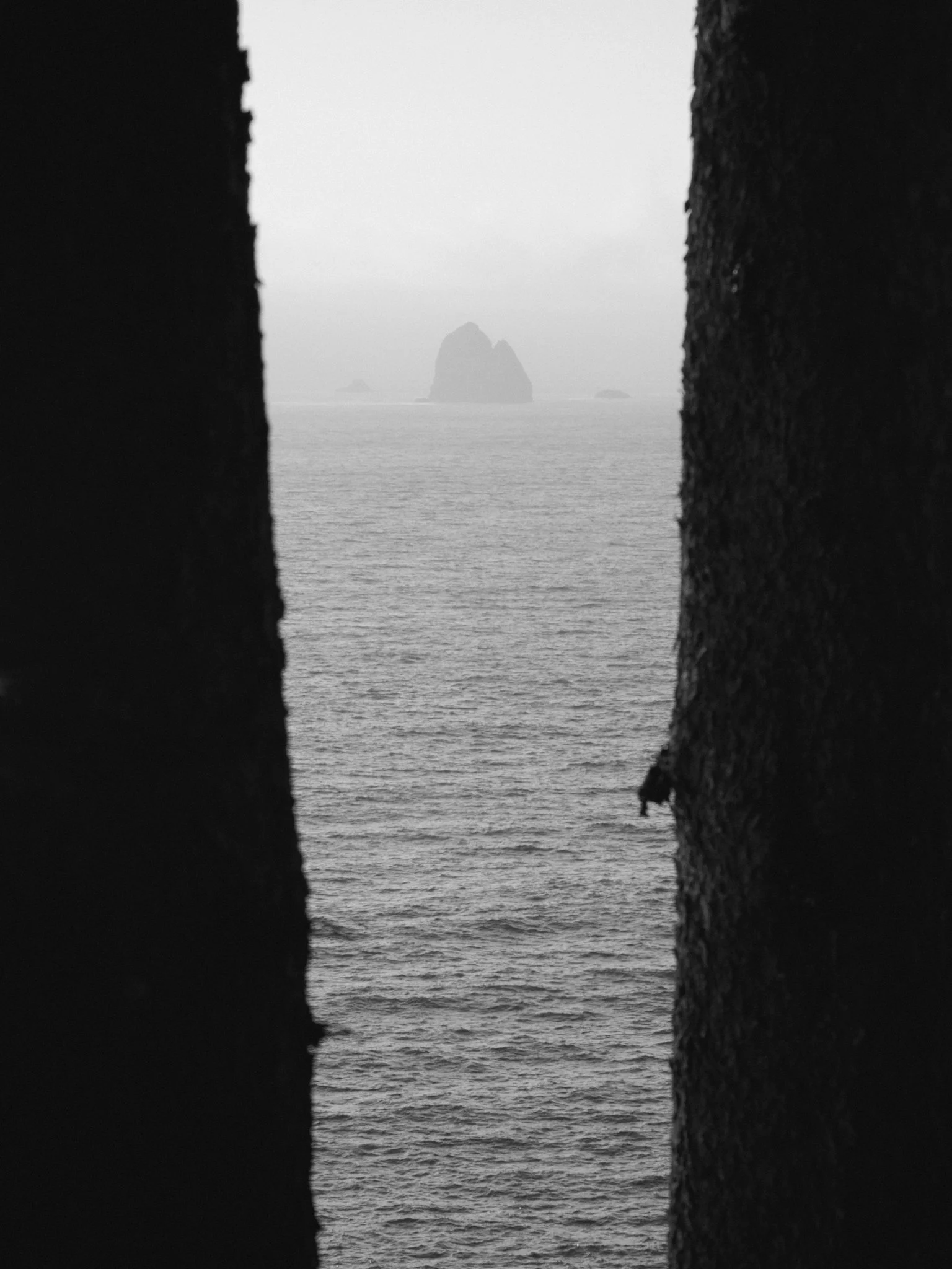 Web-Gallery-OR-15.jpg