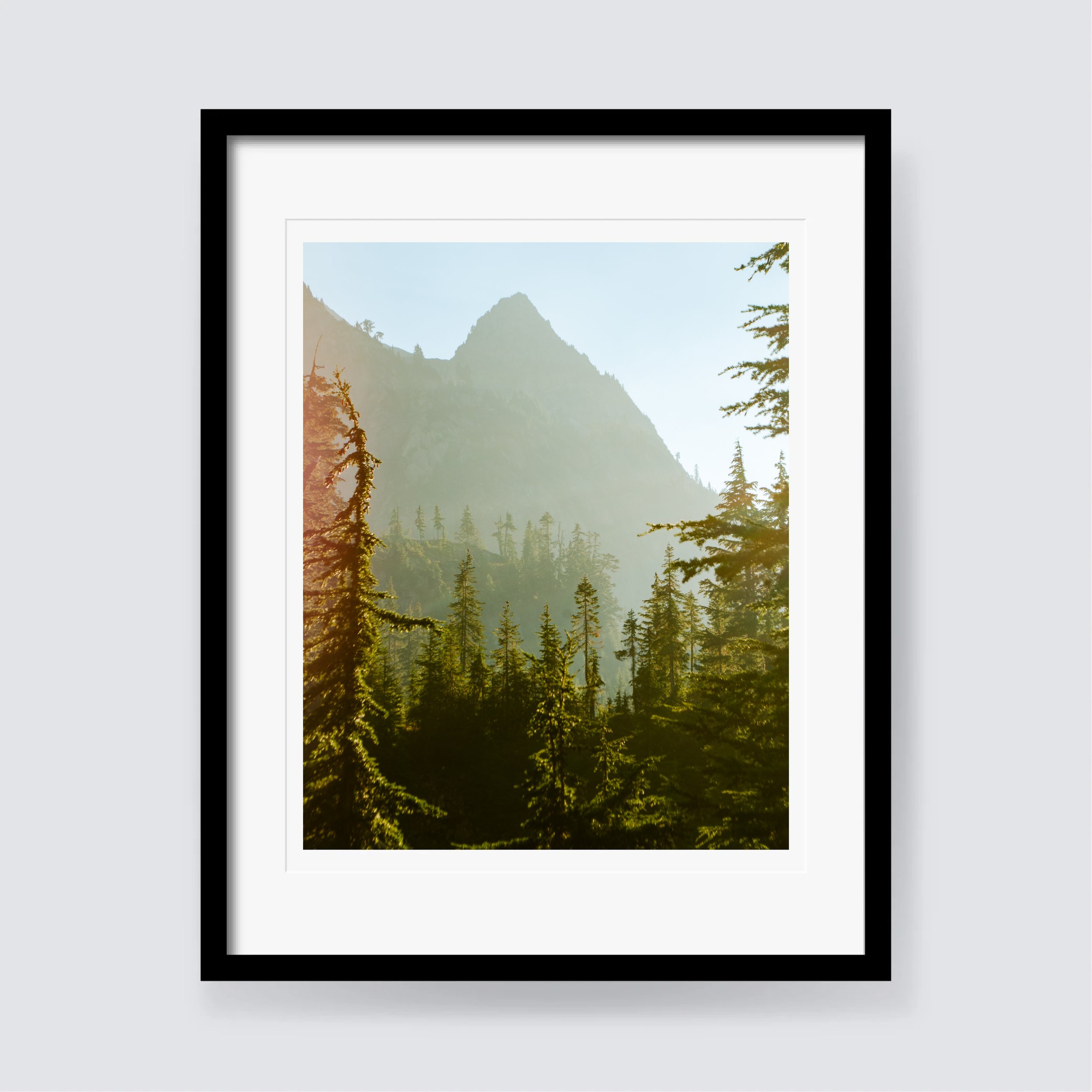 Brunswick Render (4x5).jpg