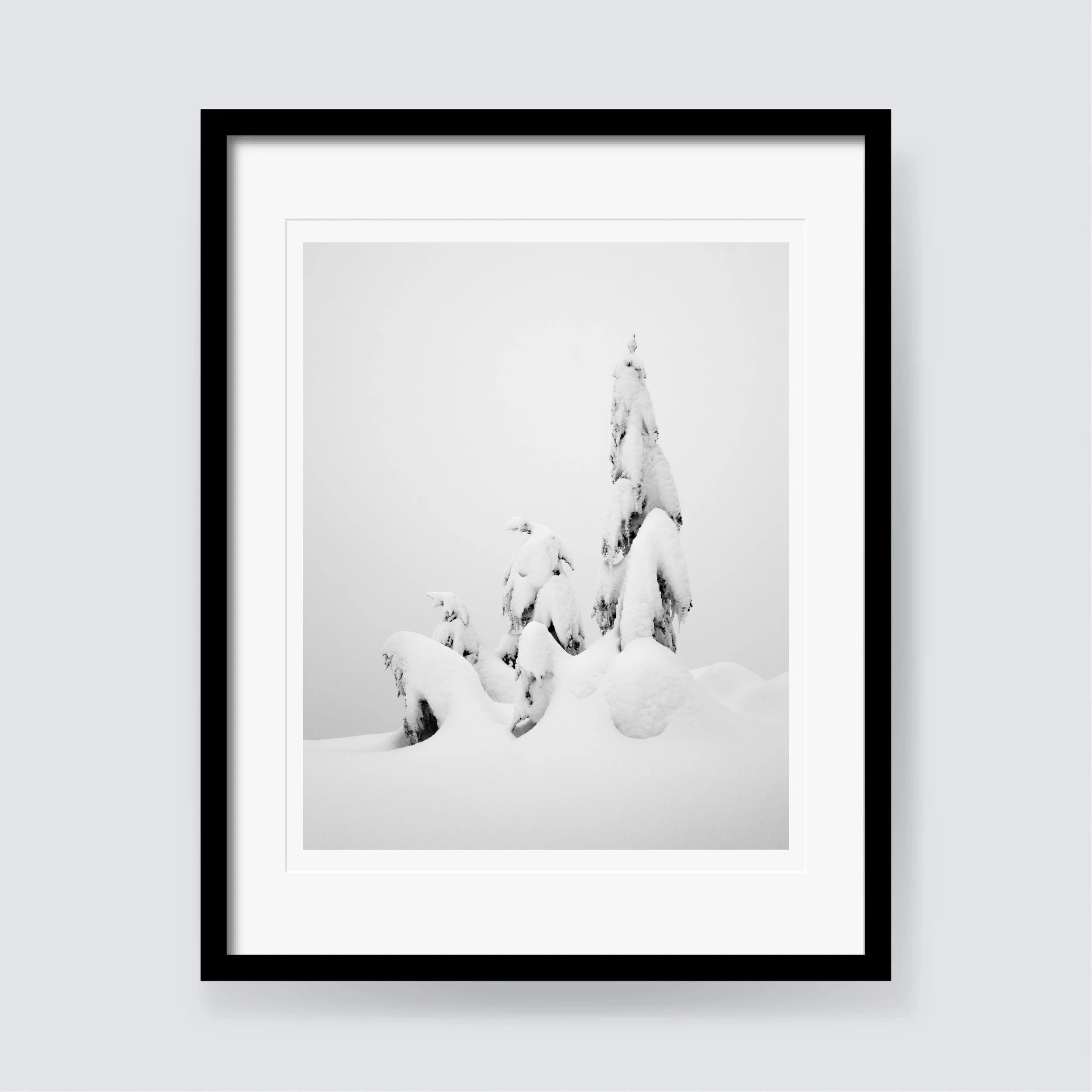 Winter Frame Render (4x5).jpg