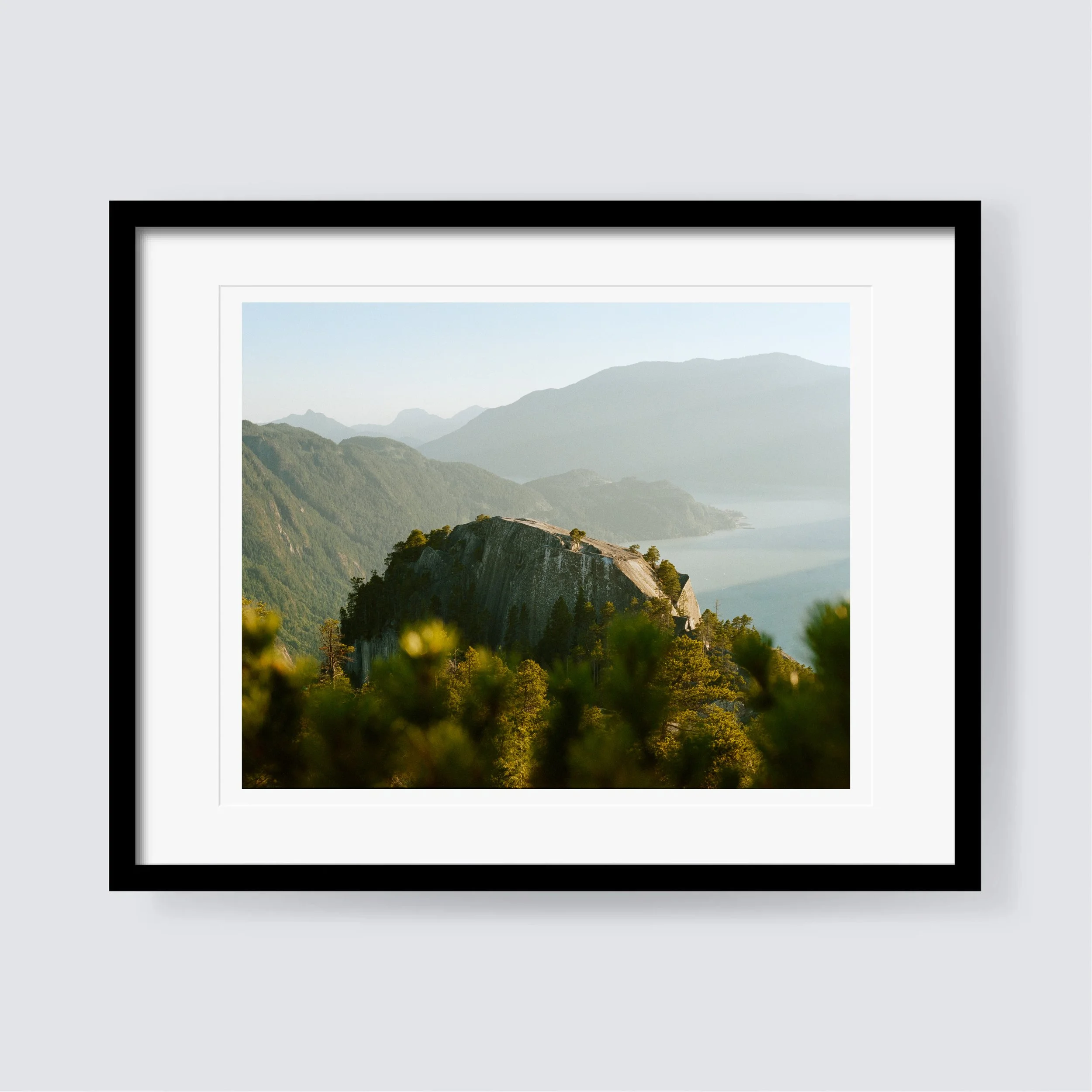 Chief Frame Render (4x5).jpg