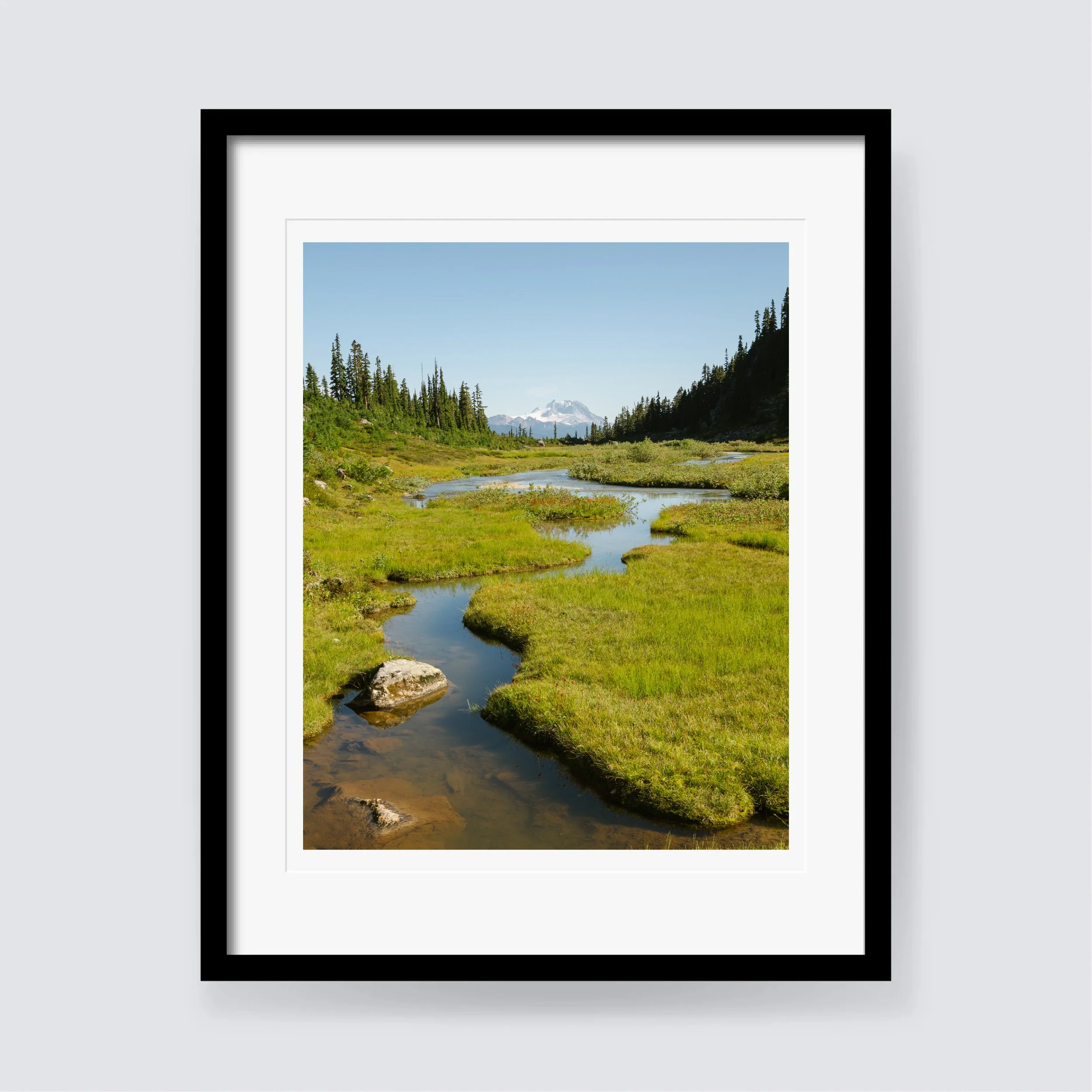 Meadows Frame Render (4x5).jpg