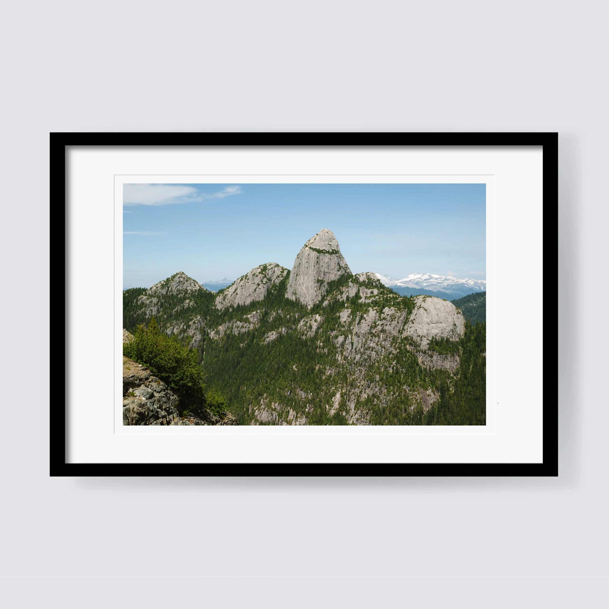 Mount Habrich Frame Render (3x2).jpg