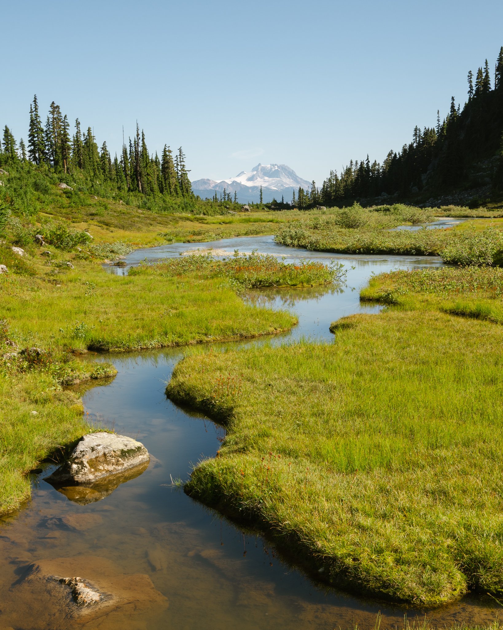 Brandywine Meadows