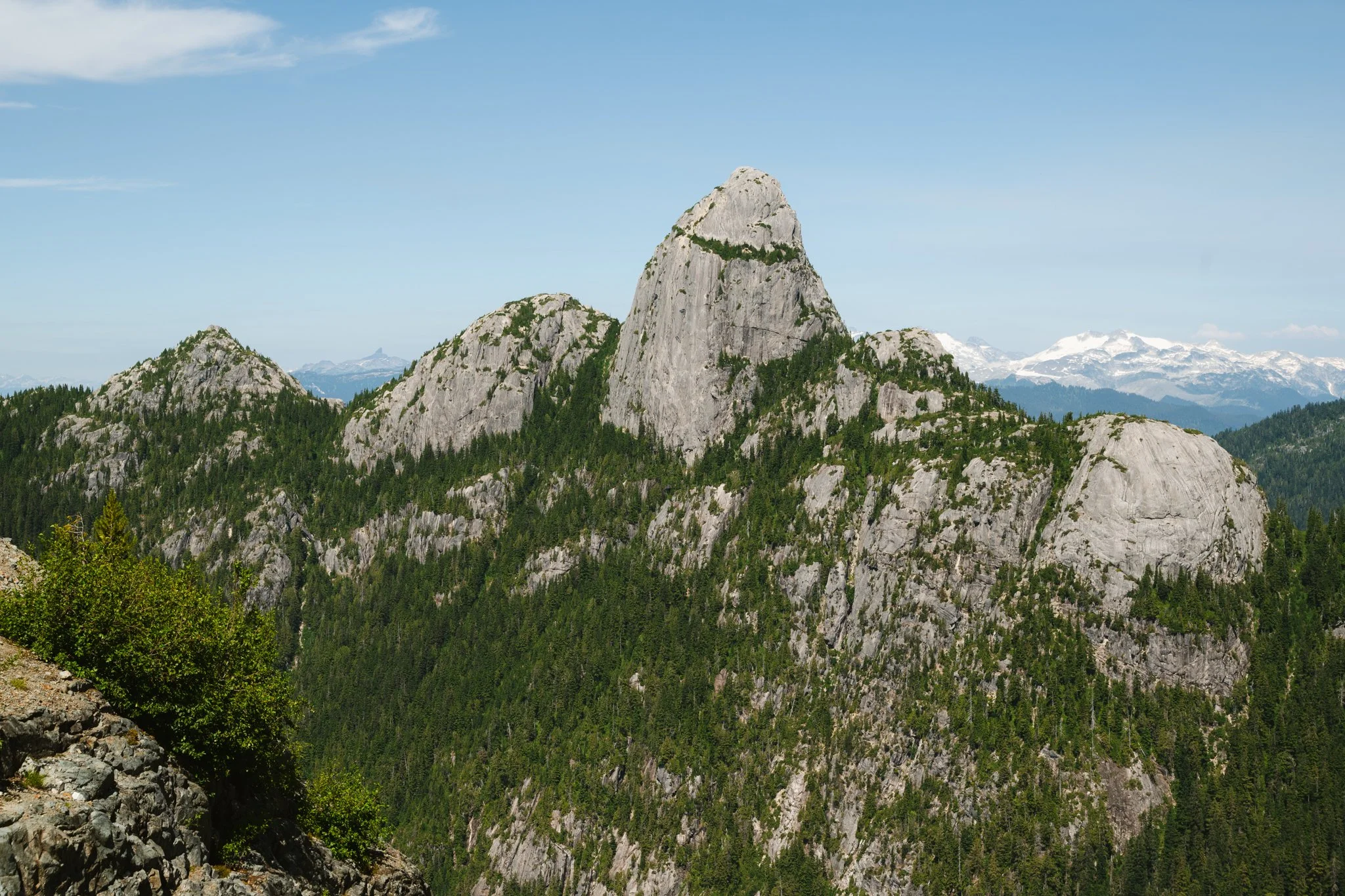 Mount Habrich