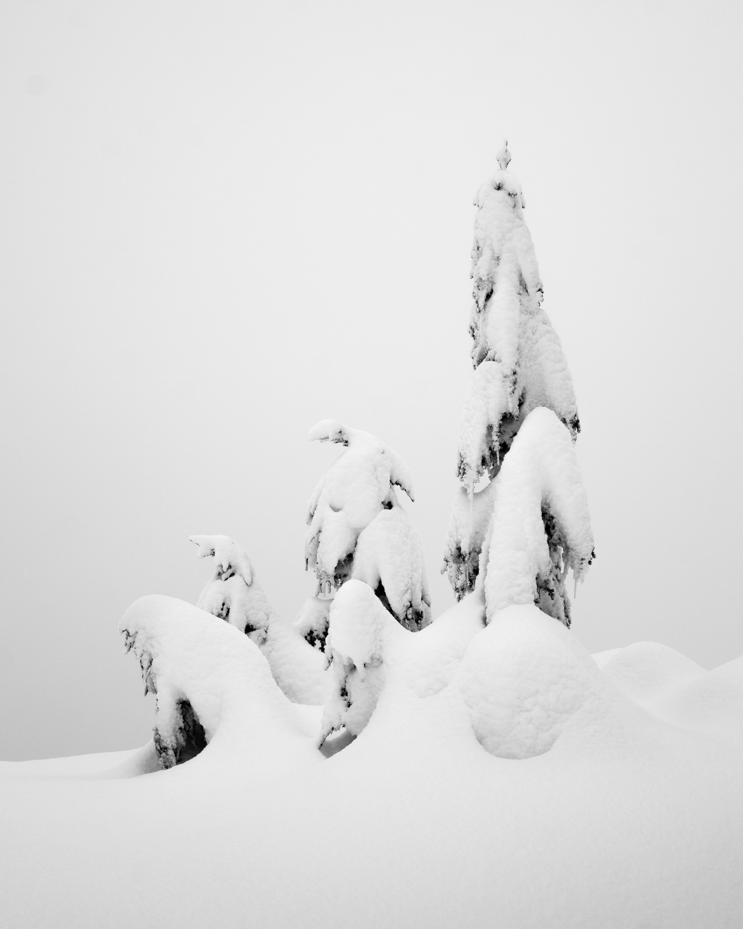 Solitude