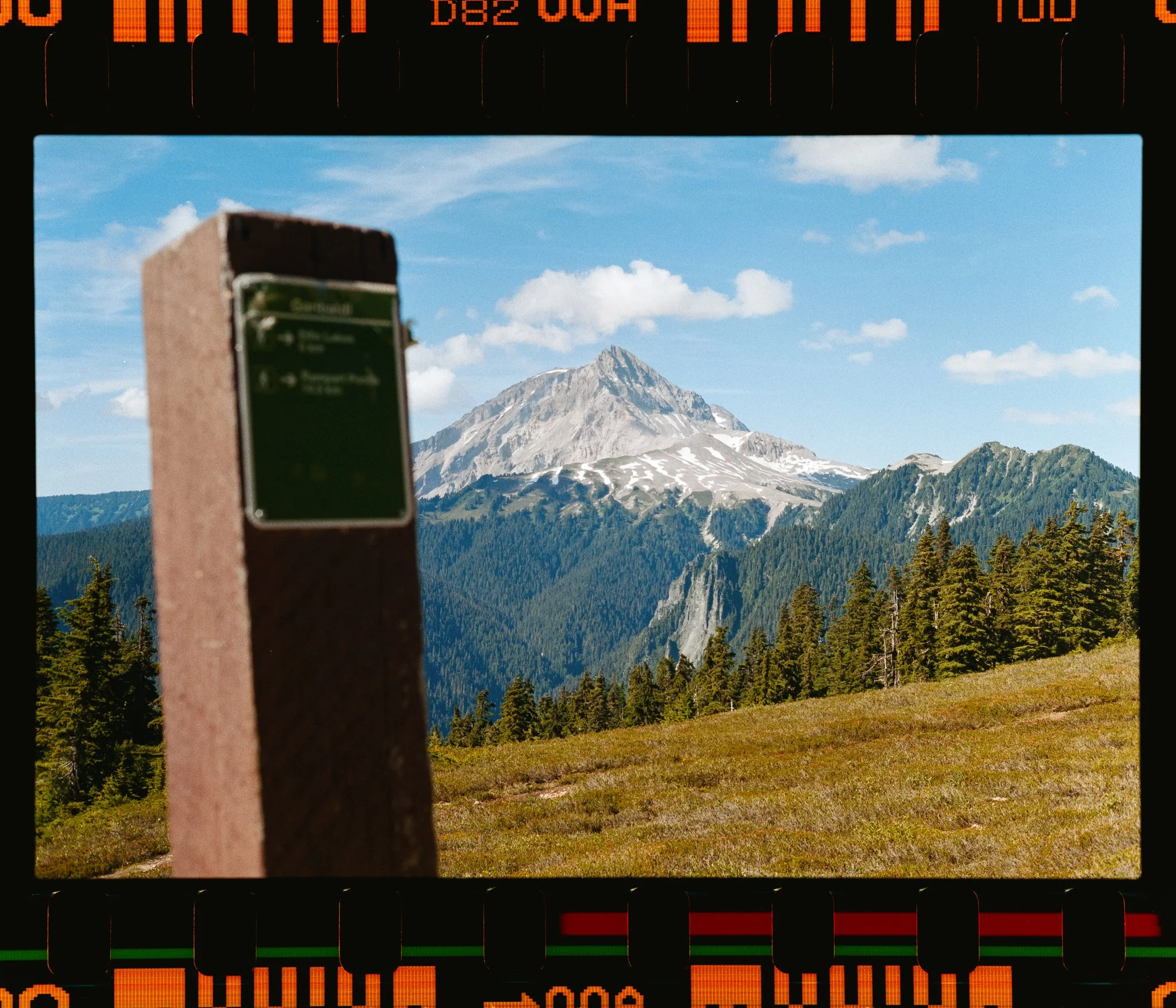 _DSC1184-positive-2-Edit.jpg