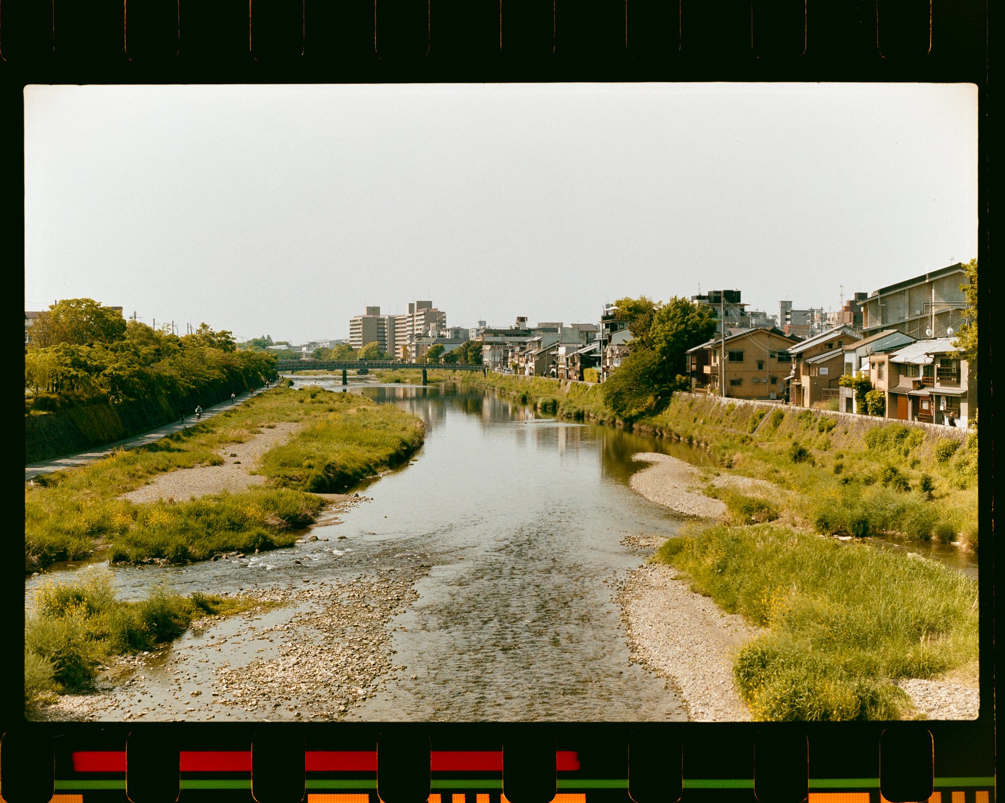 _DSC0735-positive-Edit.jpg