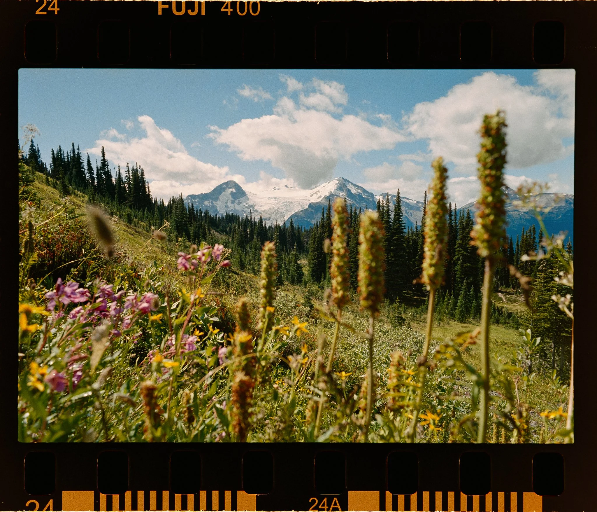 _DSC2107-positive-Edit.jpg