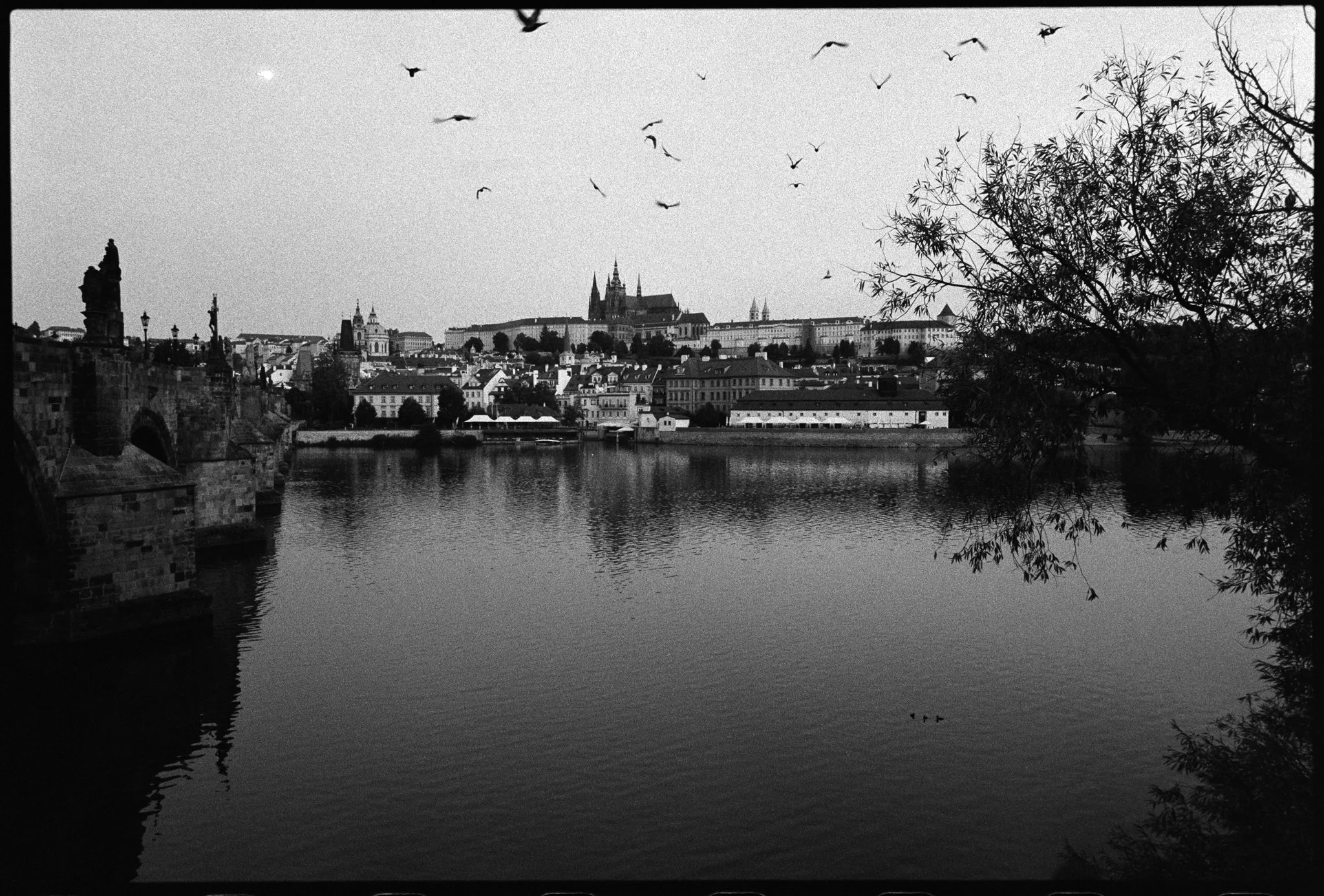 Web-Prague-18.jpg