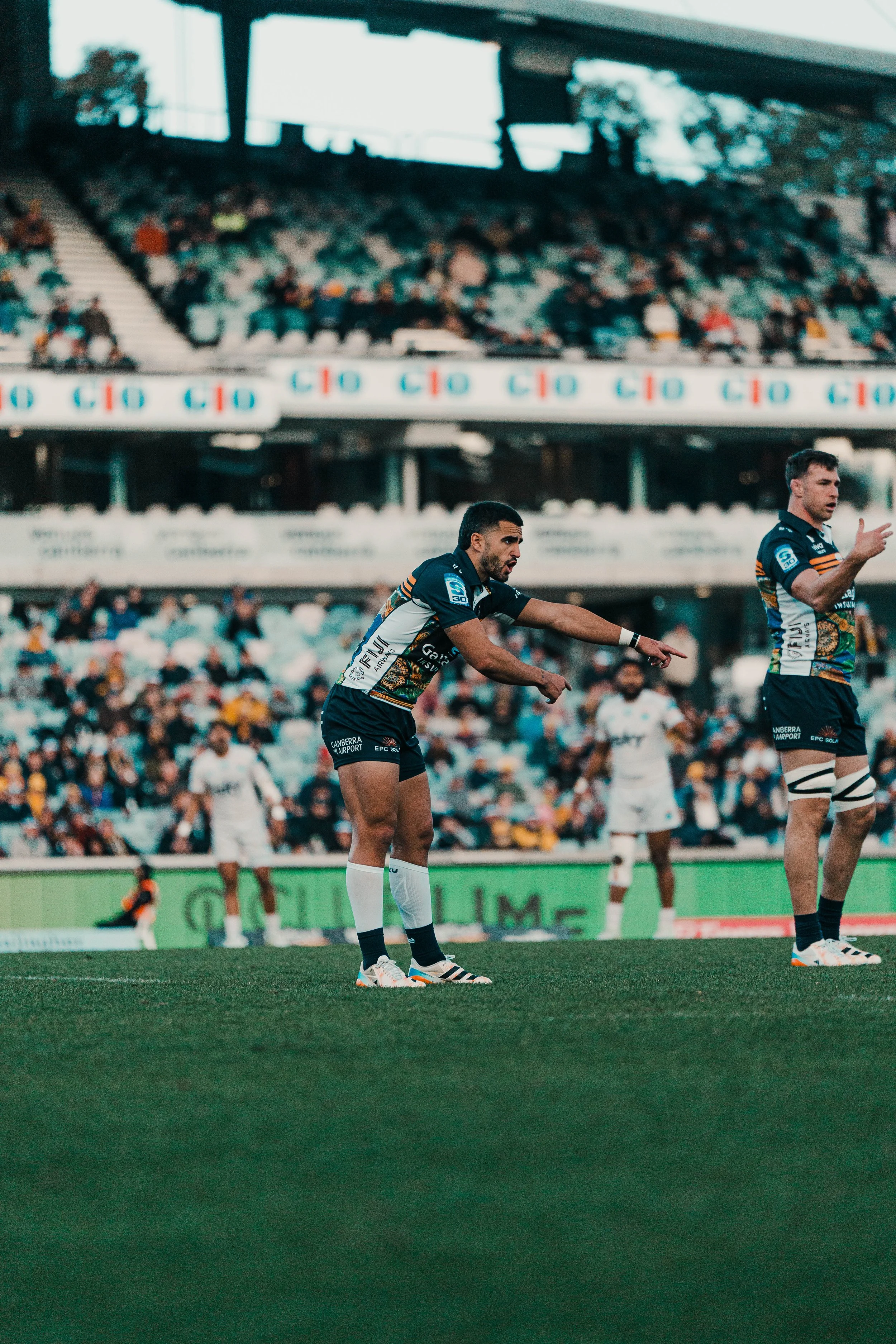 AF Brumbies v MP Tom Wright - Golden Sport.jpg