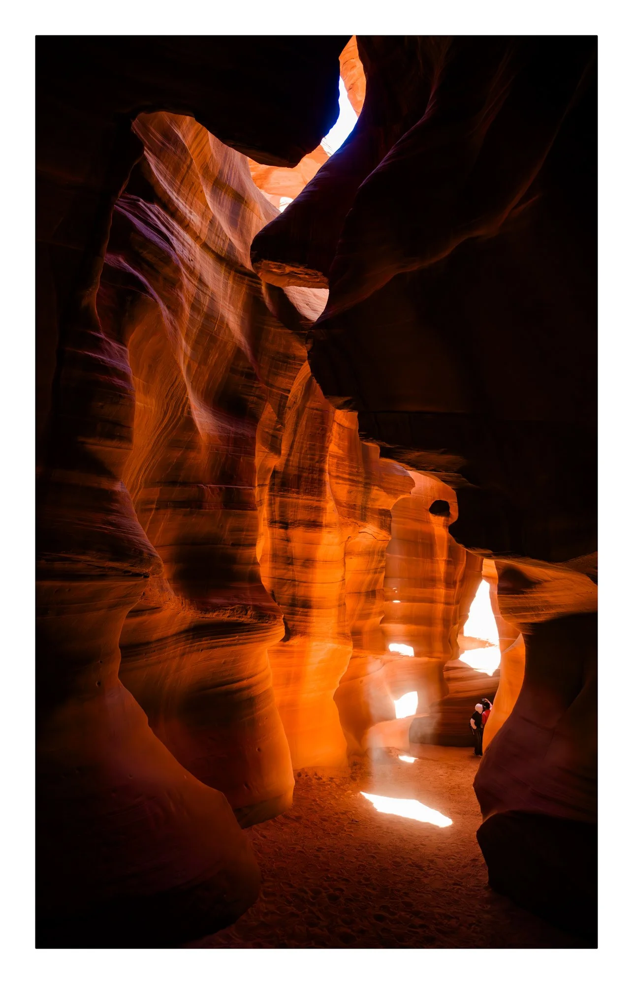 Cathedral of Light.jpg