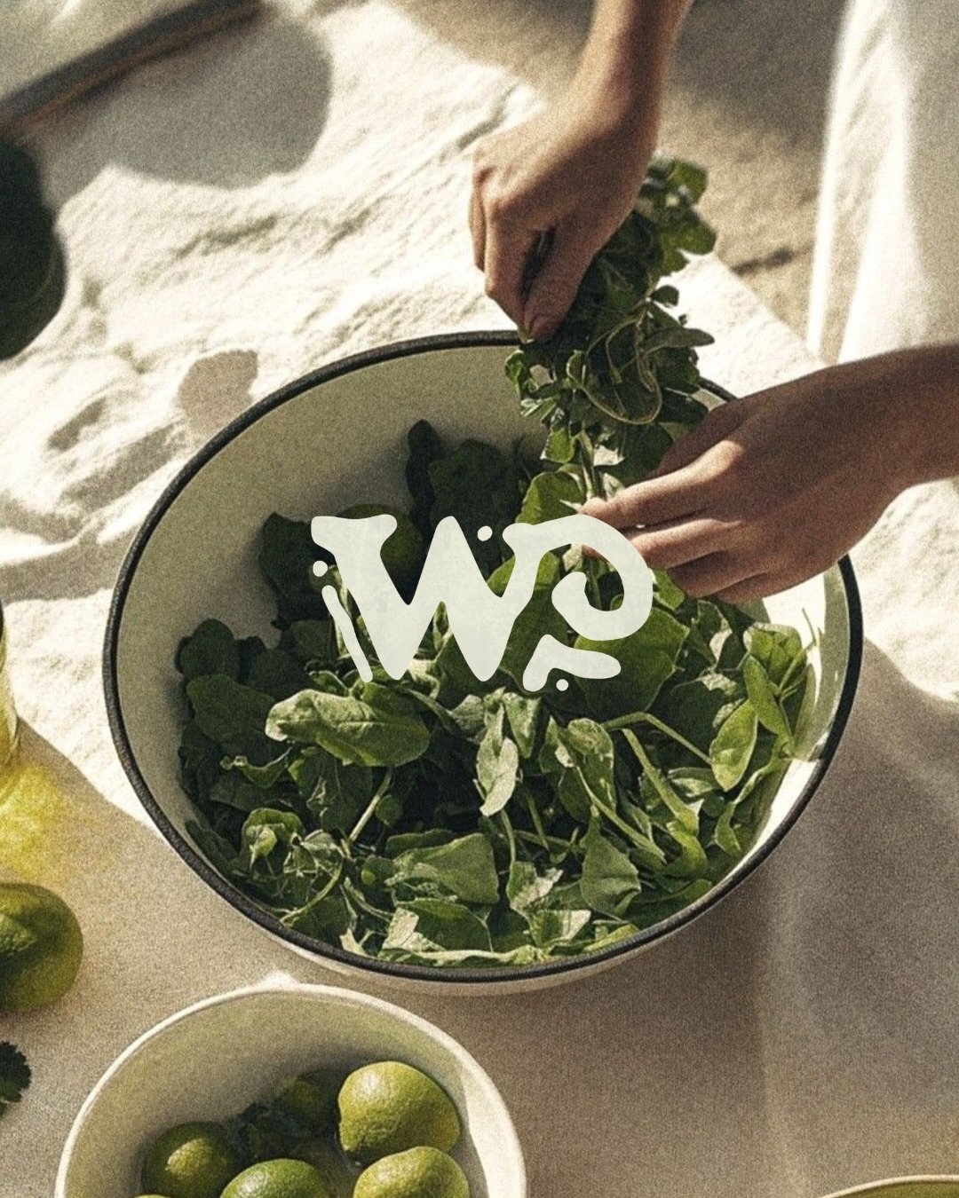 logos + branding guidelines // @wildfedchefco 
thank you, hannah, for letting me bring your vision to life &mdash; can&rsquo;t wait to see your new business adventure unfold ˖᯽ ݁˖&middot; ─

building a brand or needing a refresh? let&rsquo;s chat.

i