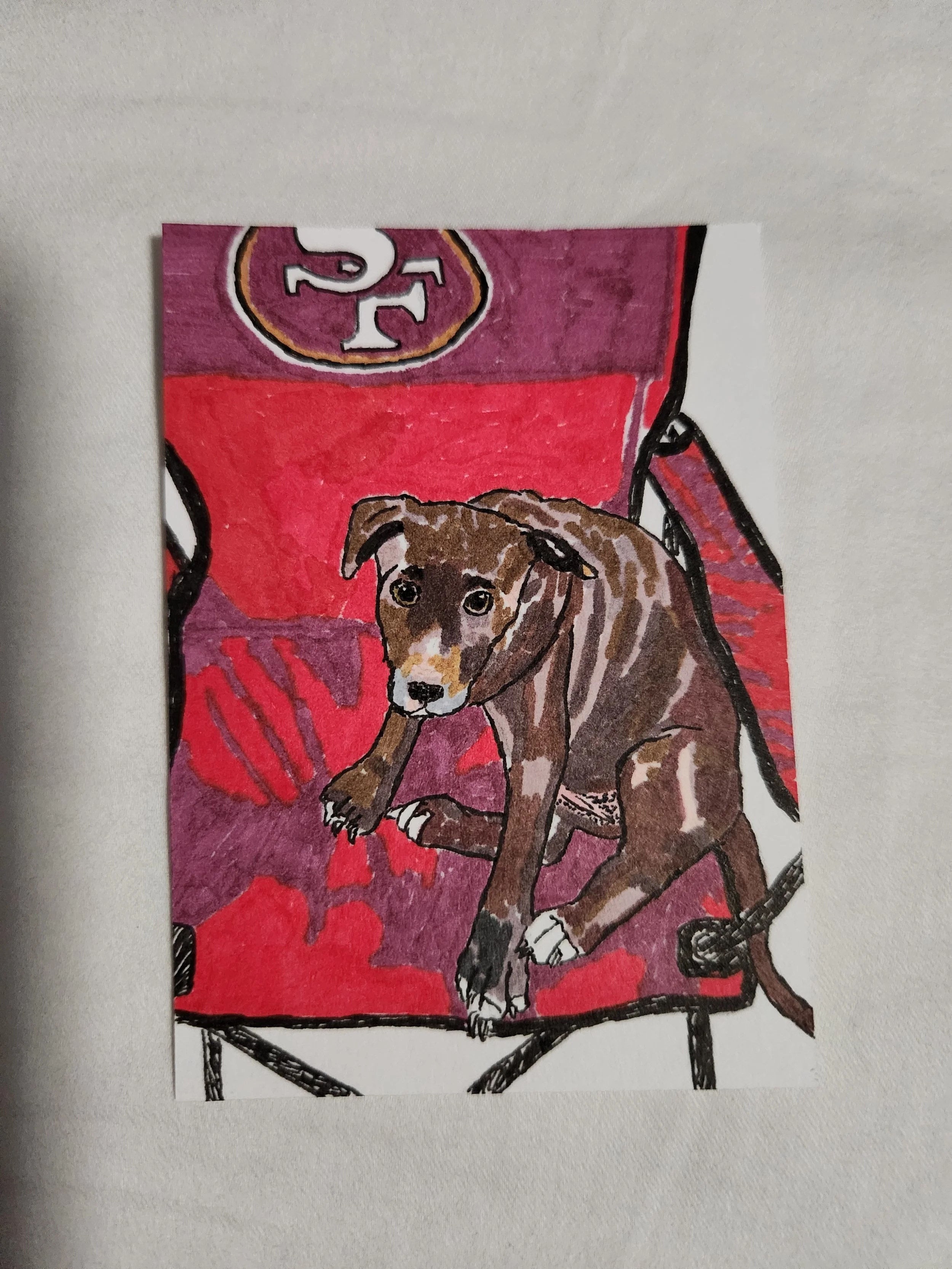 Dog, 6/7/24