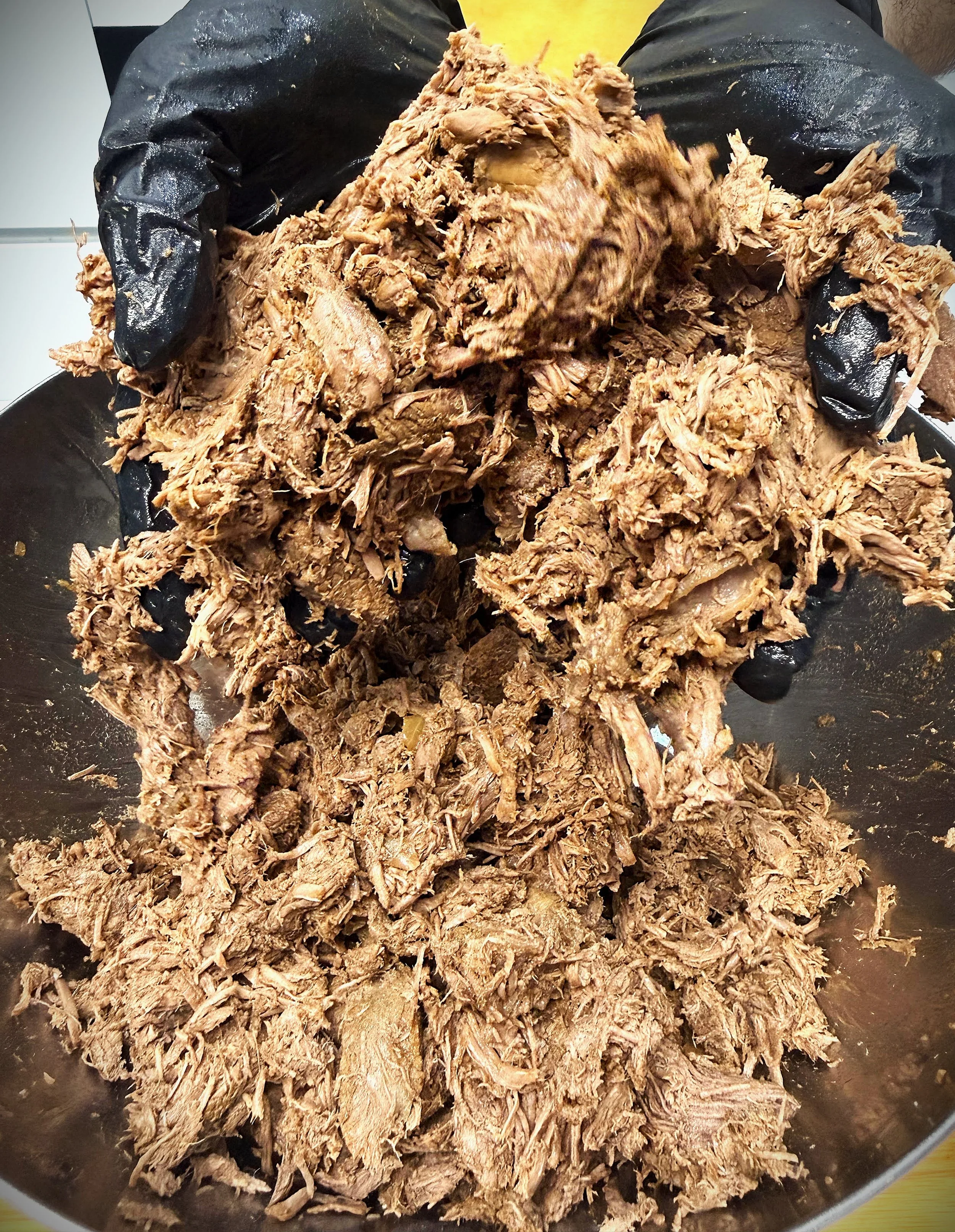 Shredded cooked meat in a black bowl with gloved hands holding it.
