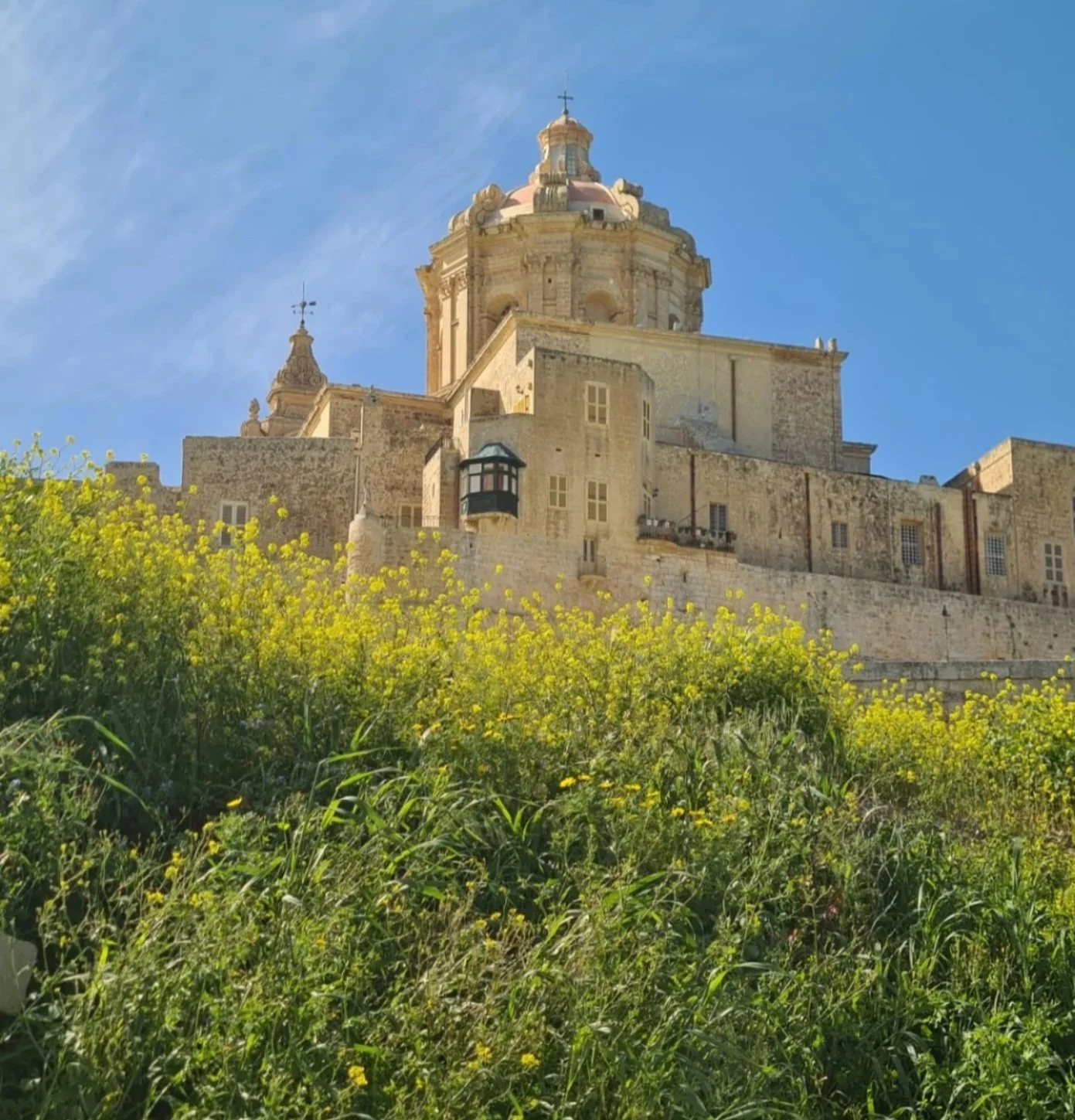 Castle or historic building with a tower, situated above a field of yellow flowers, under a blue sky.