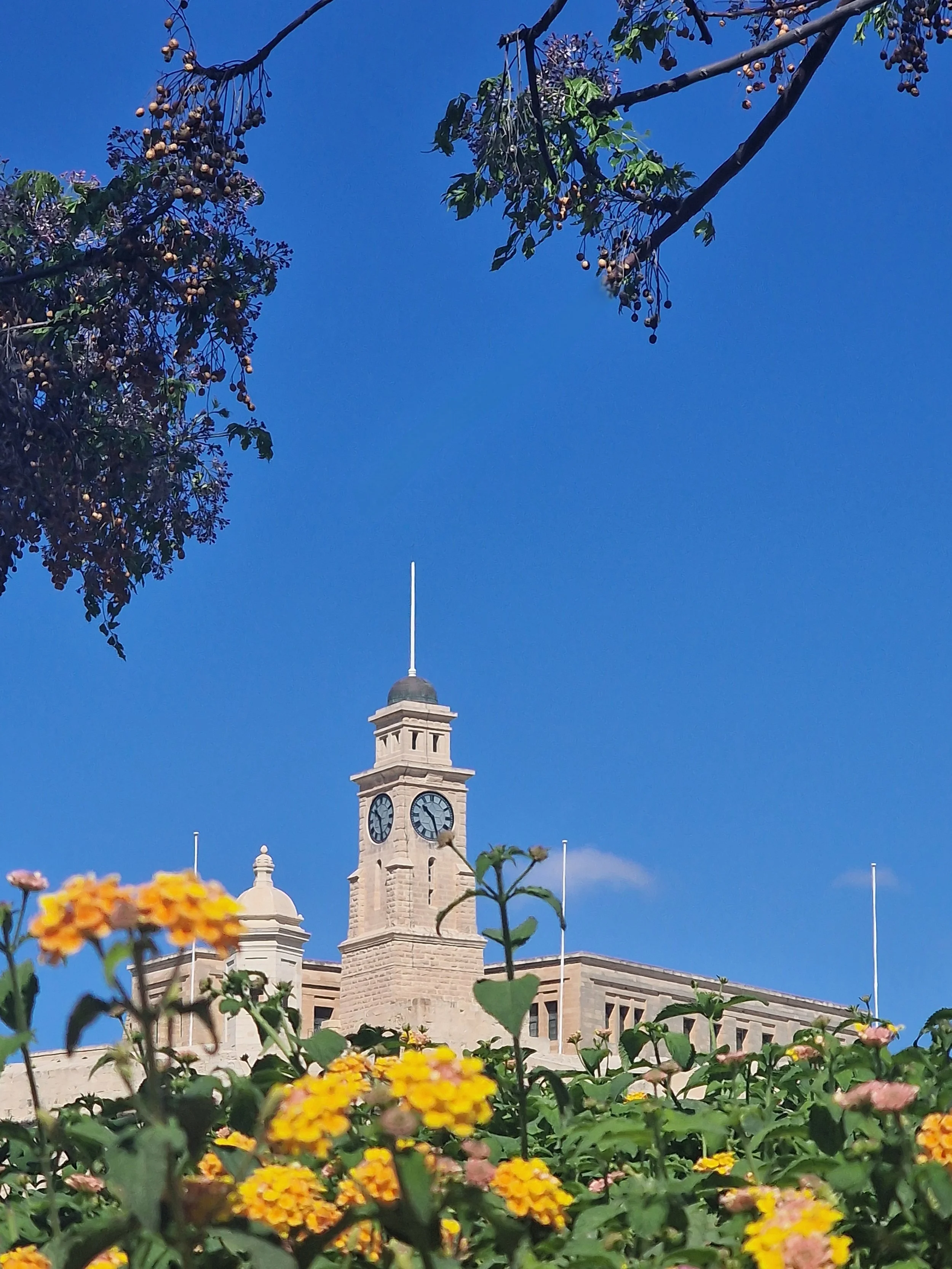 A historic clock tower building with a domed roof and flagpole, surrounded by colorful flowers and green foliage against a clear blue sky.