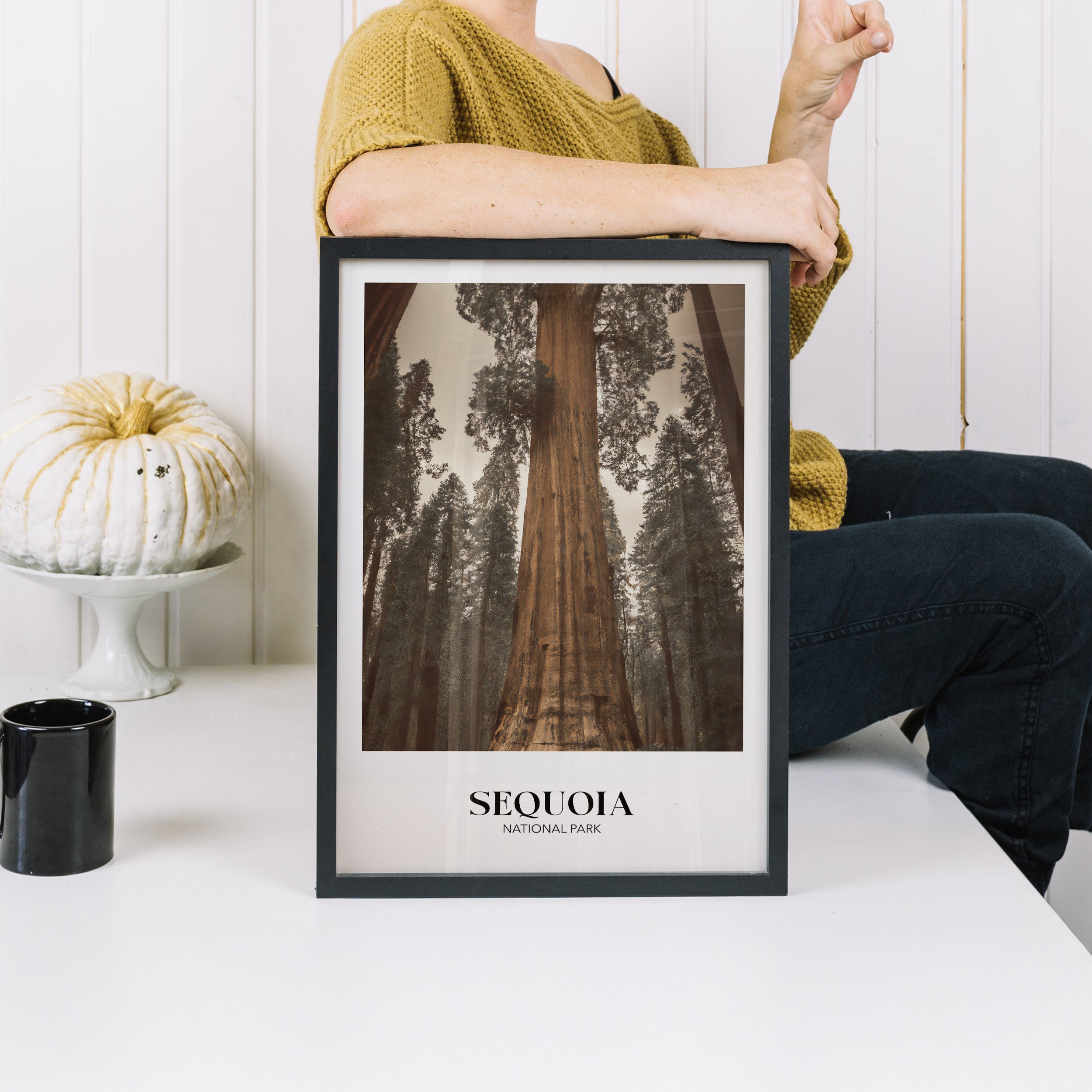 sequoia_national_park.jpg