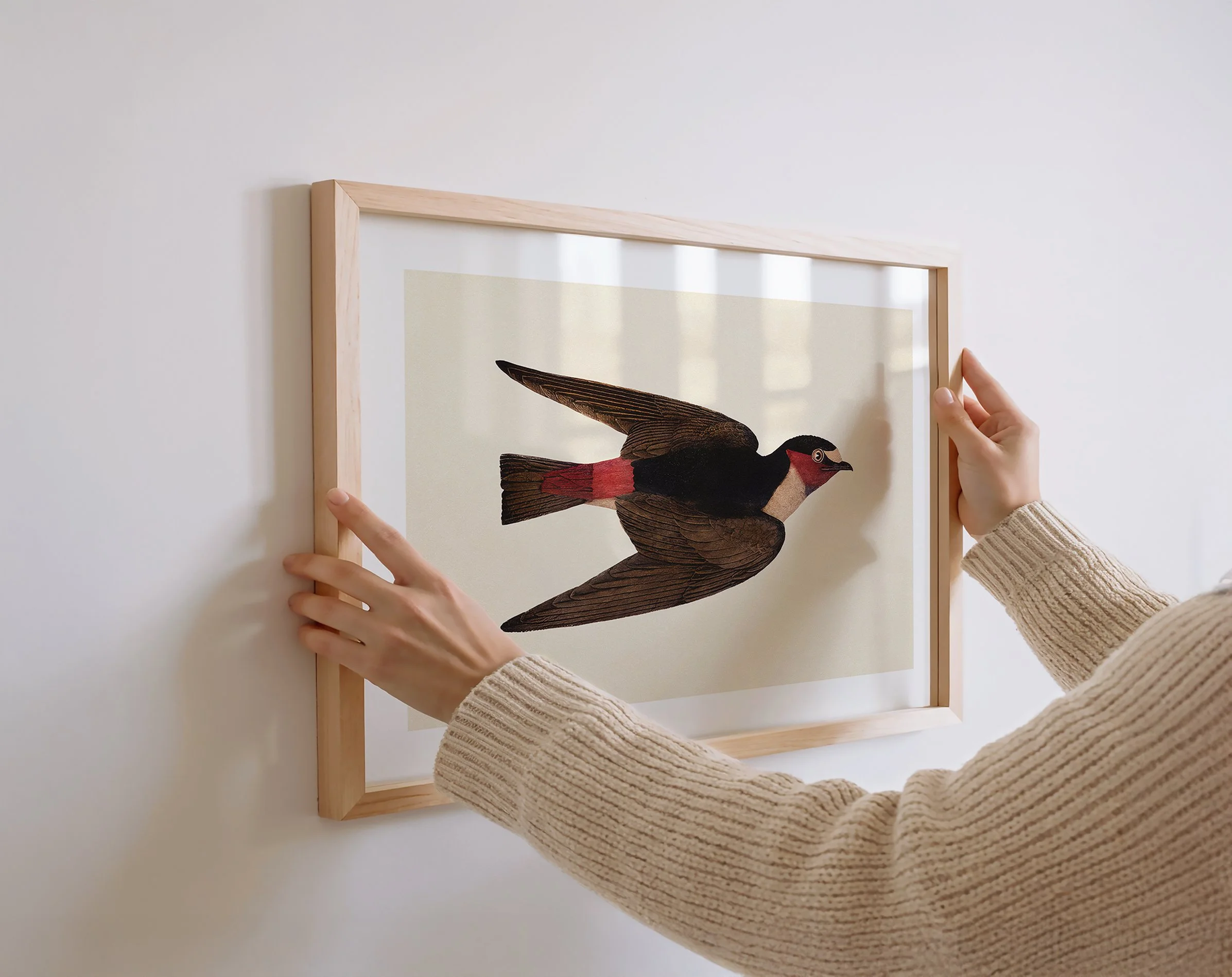 gallivani-bird-print.jpg