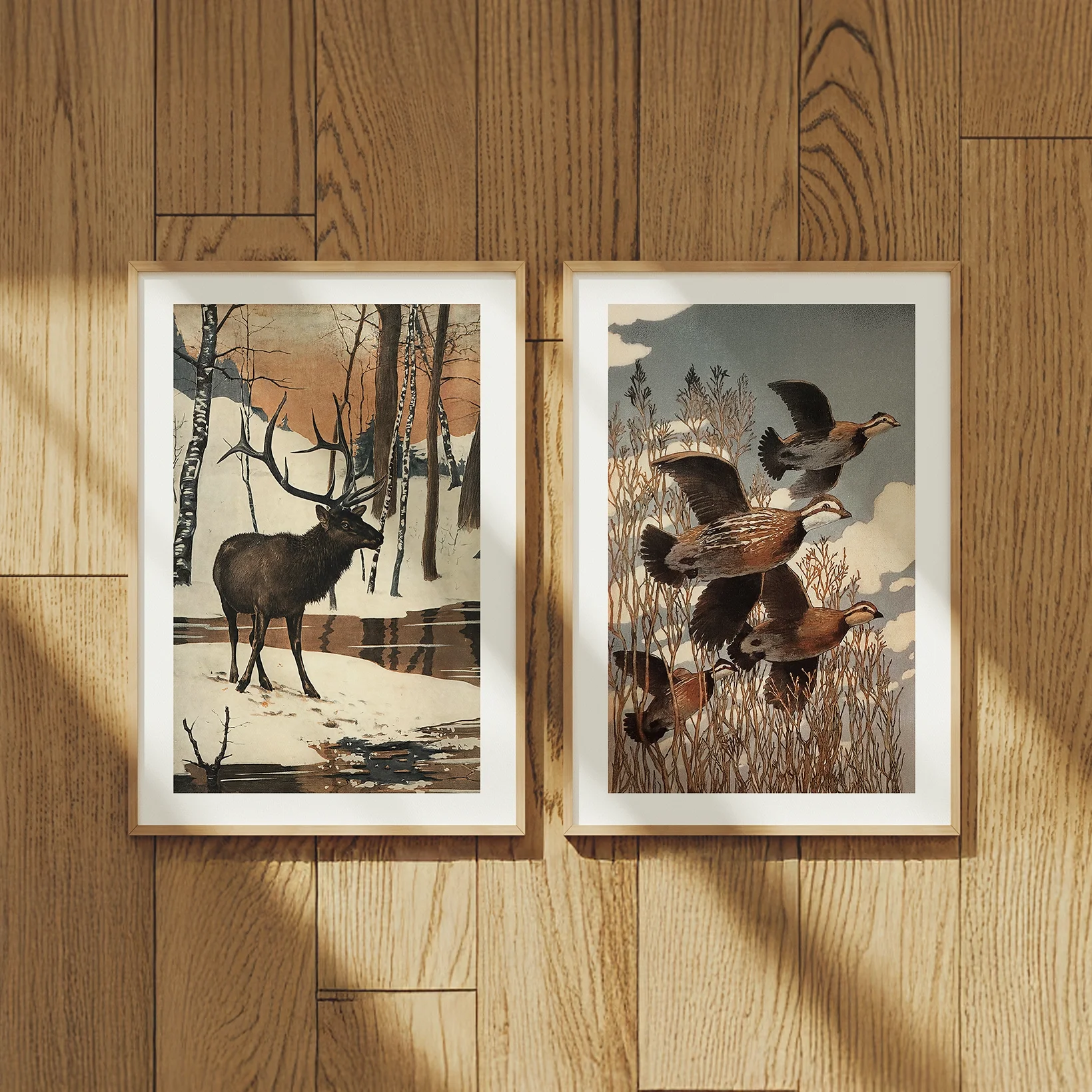 countrywildlifeprints.webp