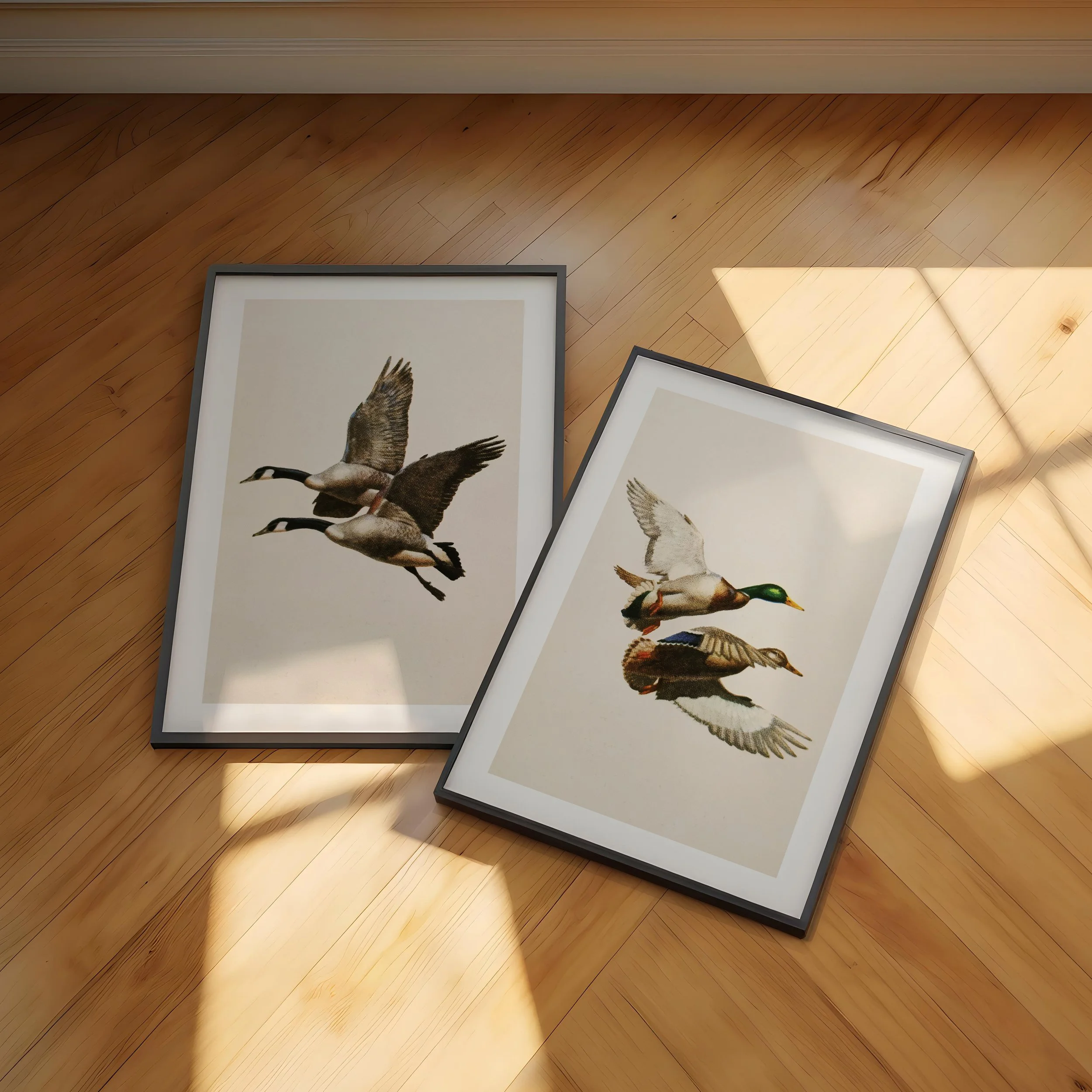 A3-and-A4-black-frames-sunlight-0235_140957.jpg