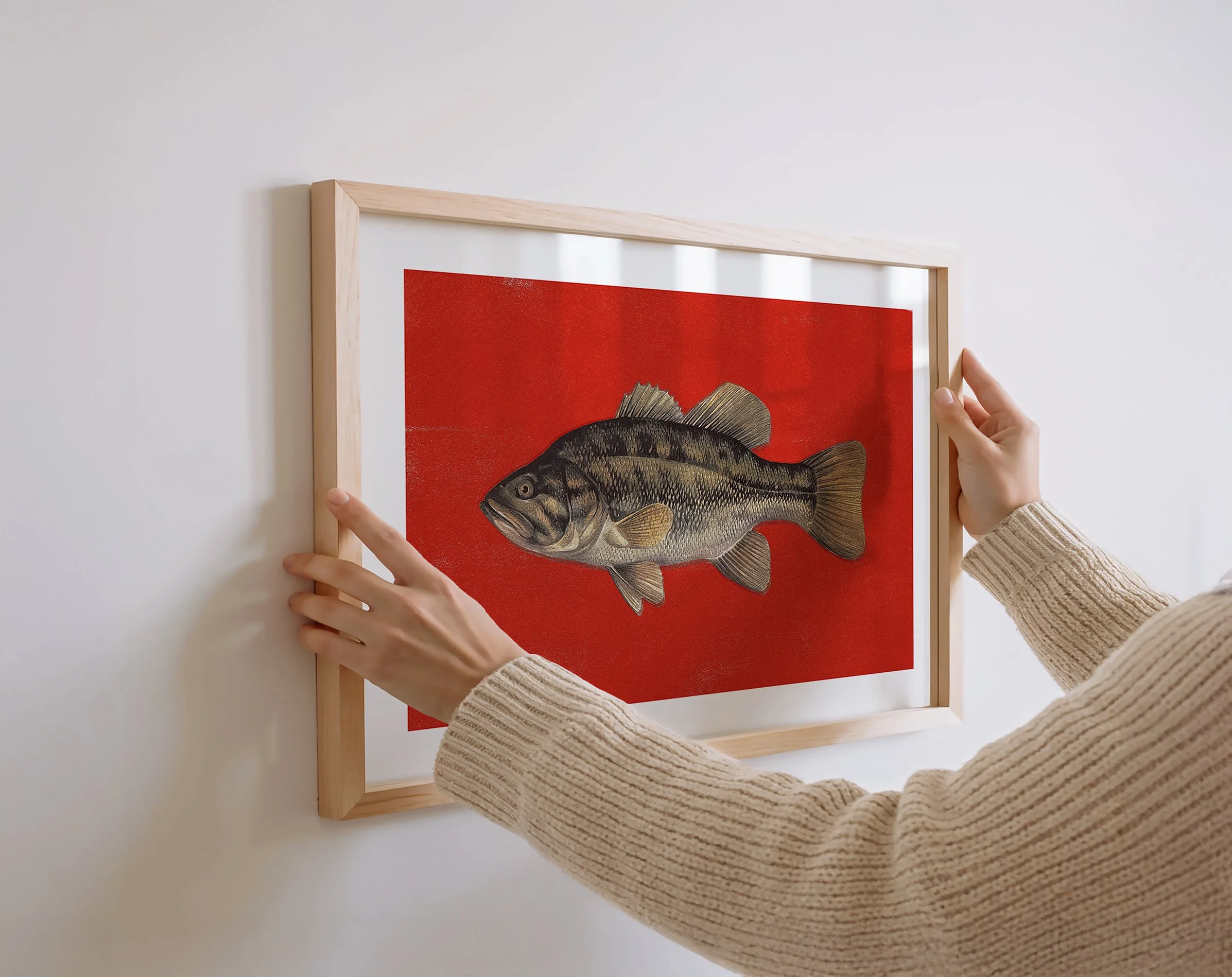 red-black-bass-fish.jpg