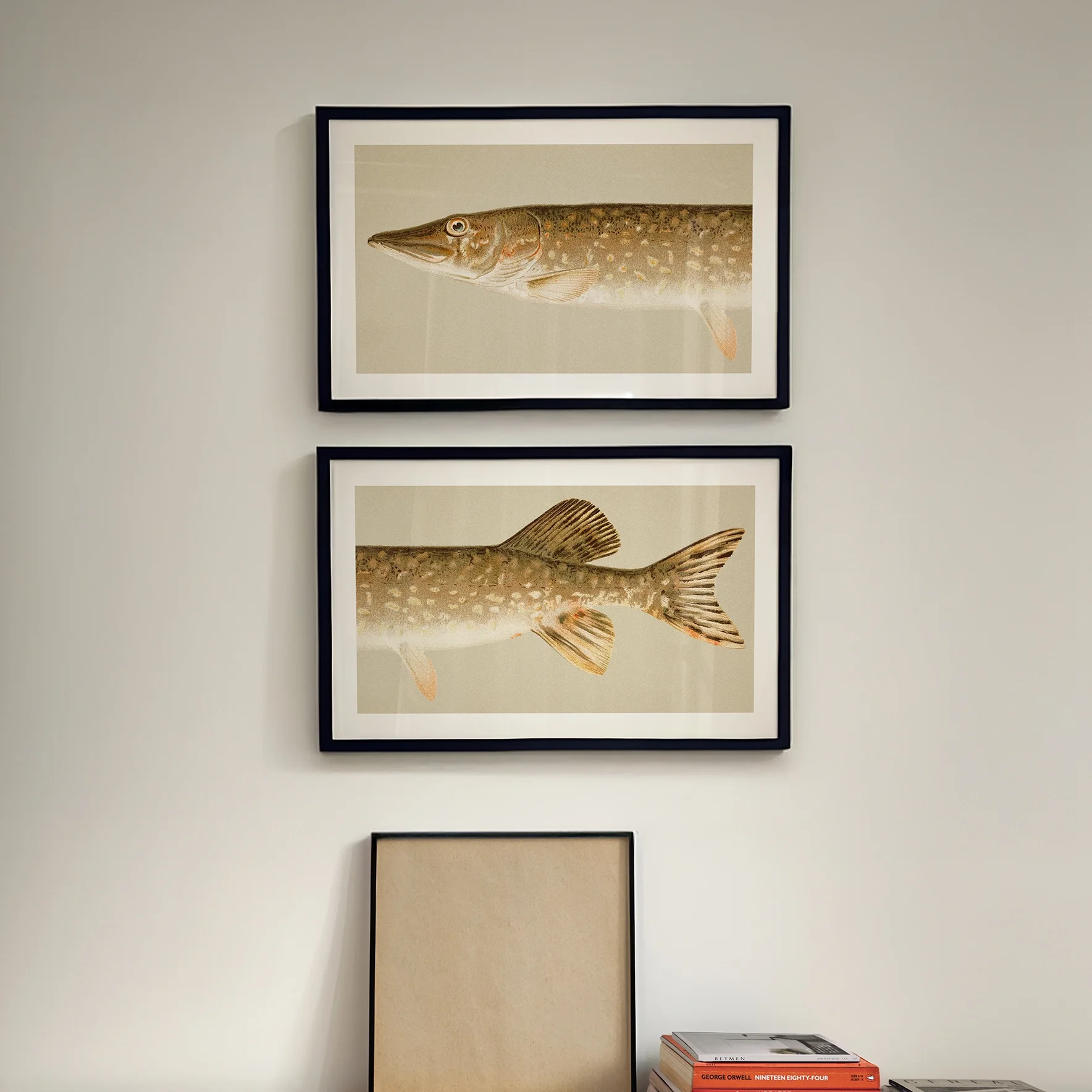 split-pikefish-prints.webp