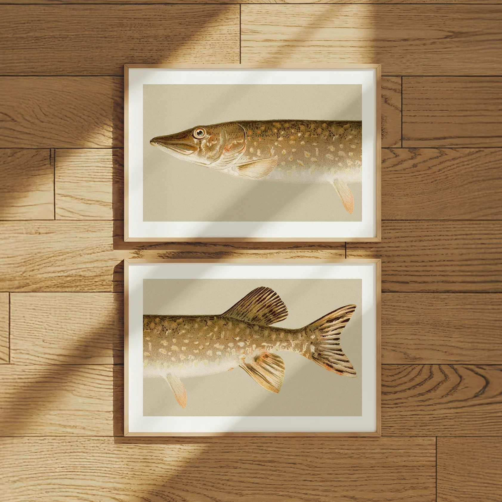 split-pike-fish-set.webp