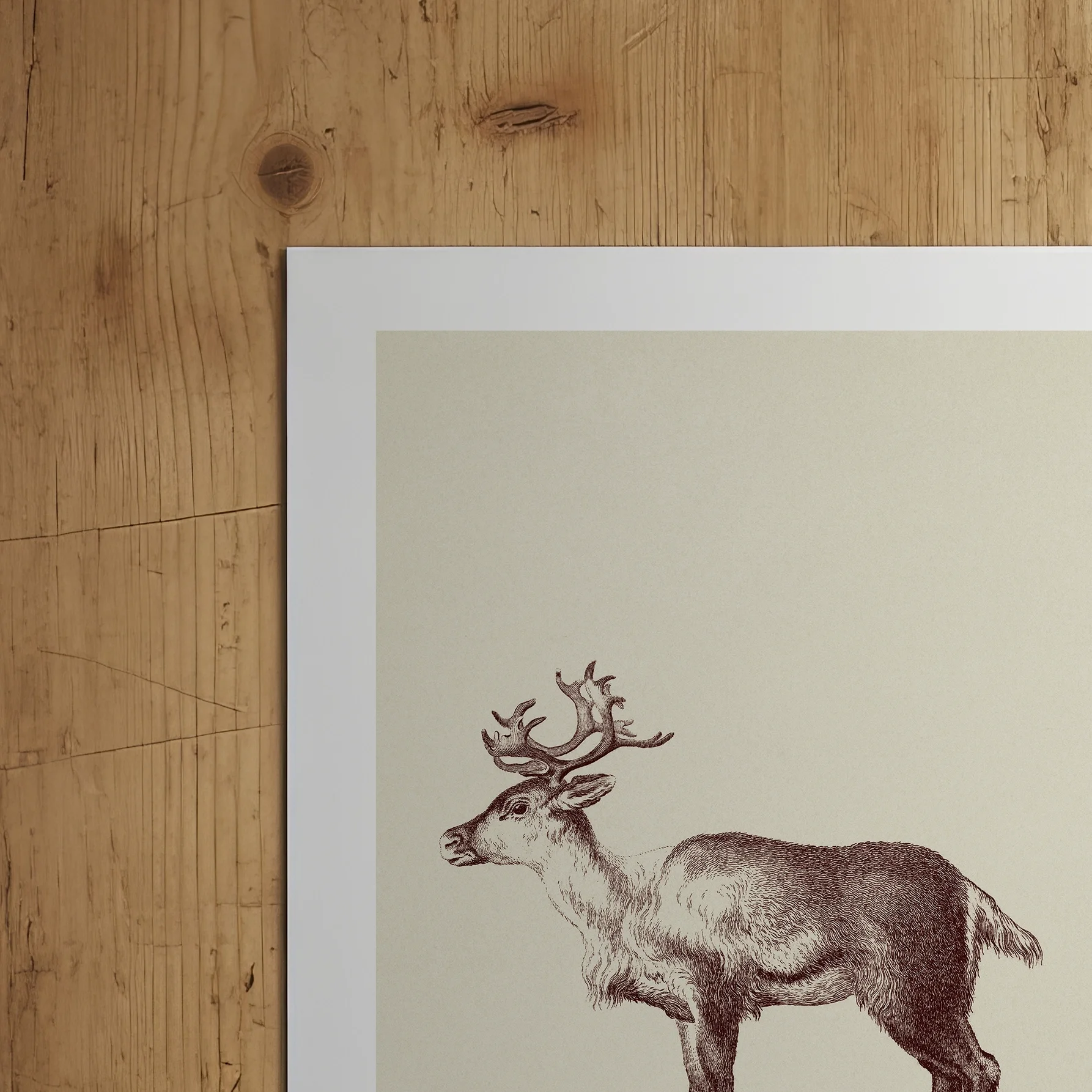 vintage-reindeer-poster.webp