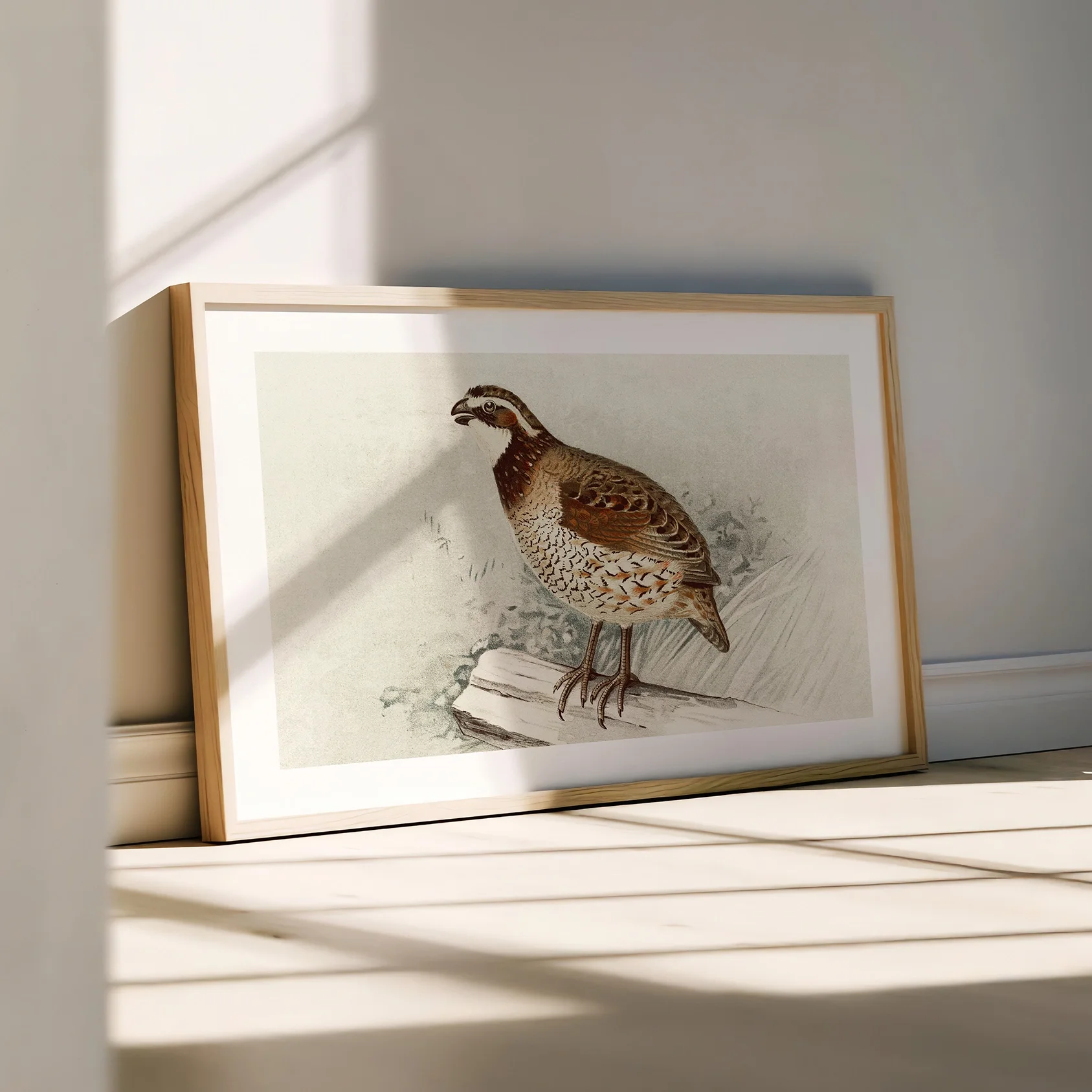 vintage-quail-print.webp