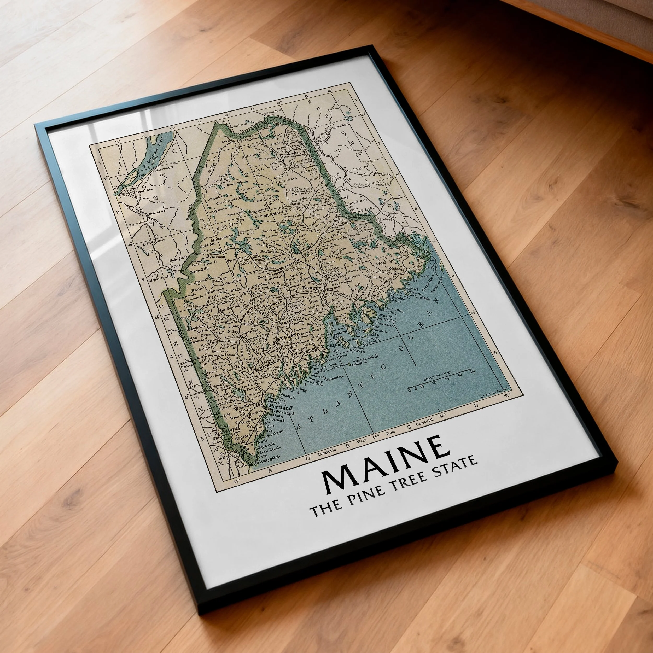 pinetreestate-poster.jpg