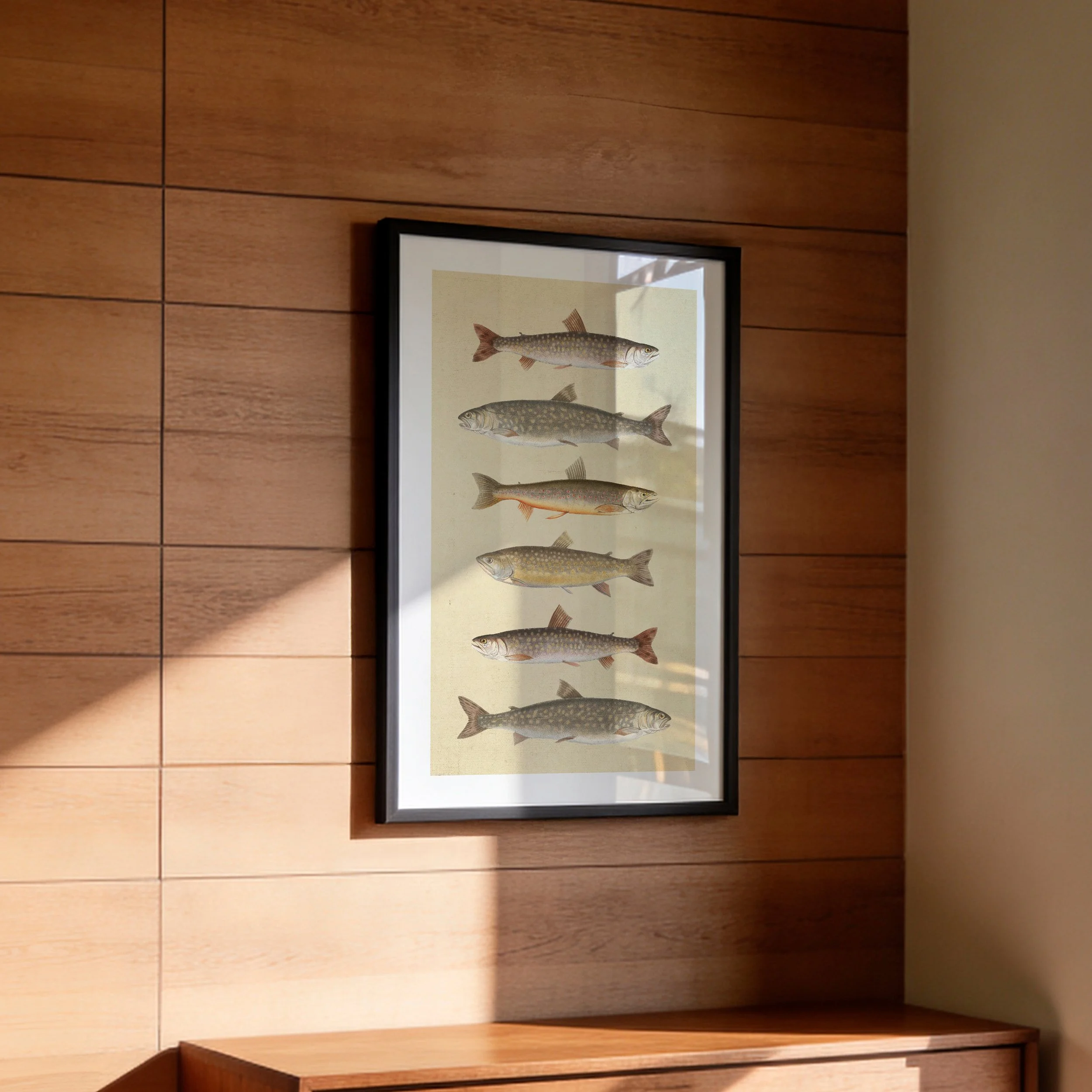 vintage-fishes-print.jpg